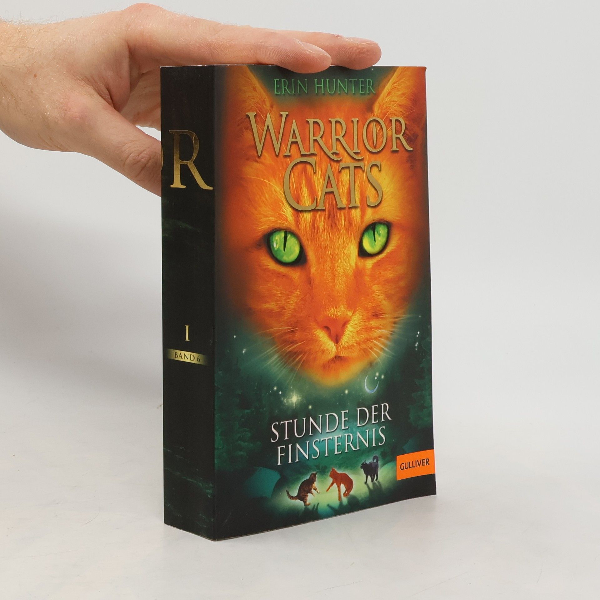 Erin Hunter Warrior Cats - 6: Stunde der Finsternis