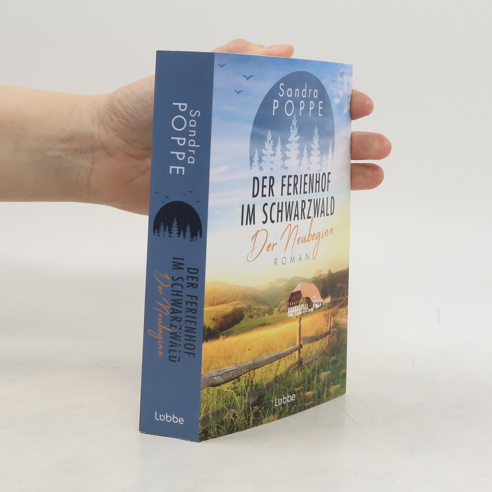 Der Ferienhof im Schwarzwald - Der Neubeginn