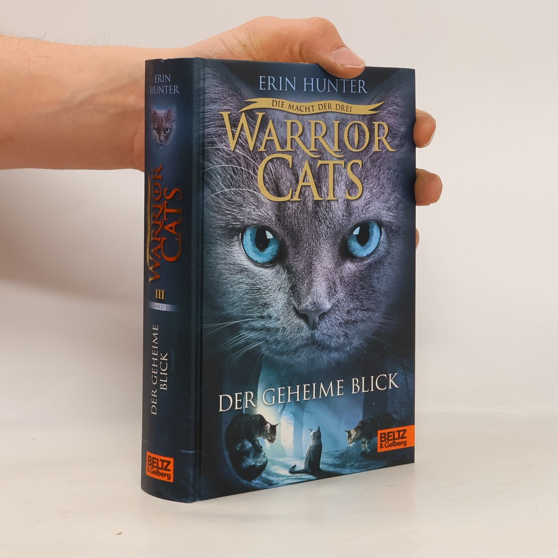 Erin Hunter Warrior Cats: Der geheime Blick