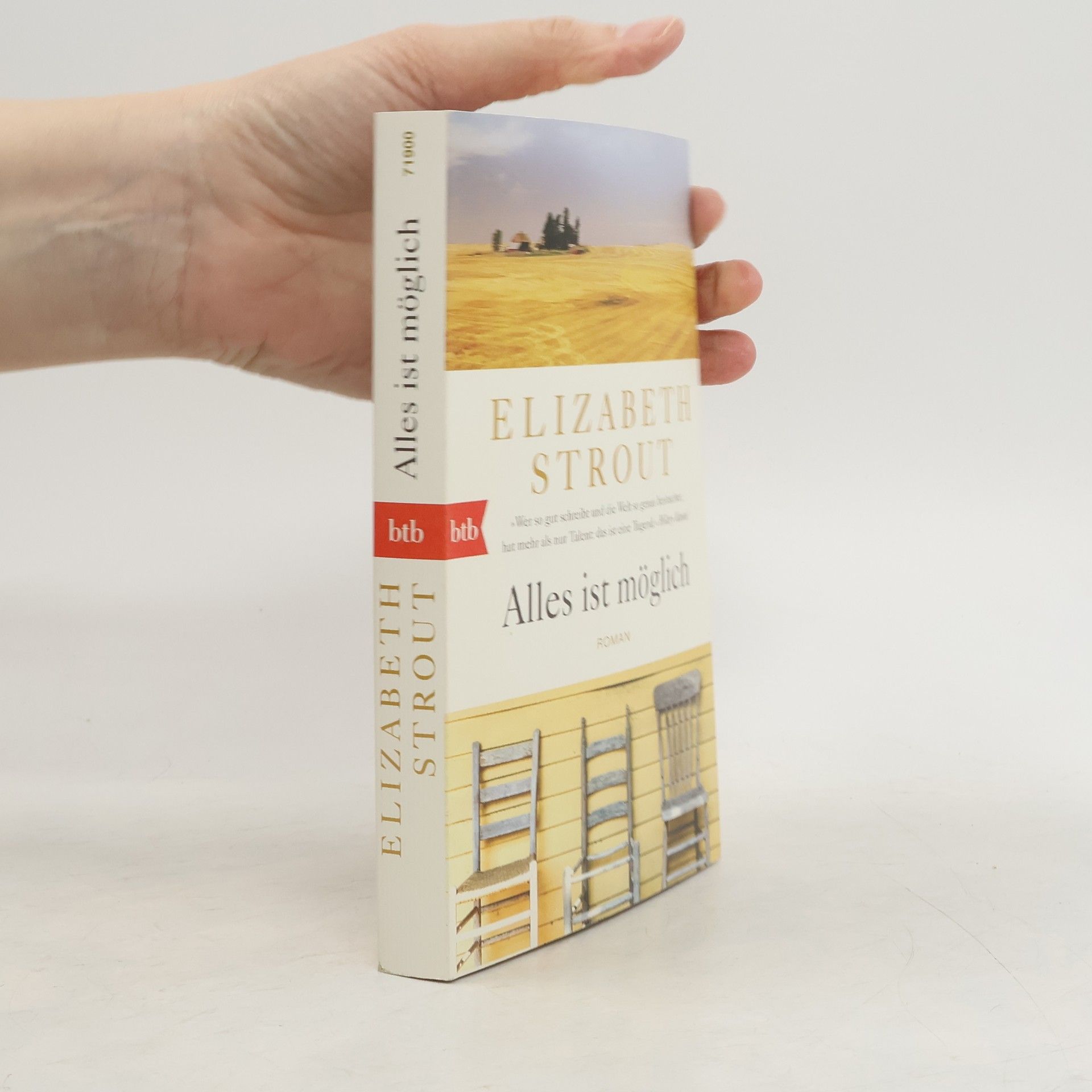 Elizabeth Strout Alles ist möglich