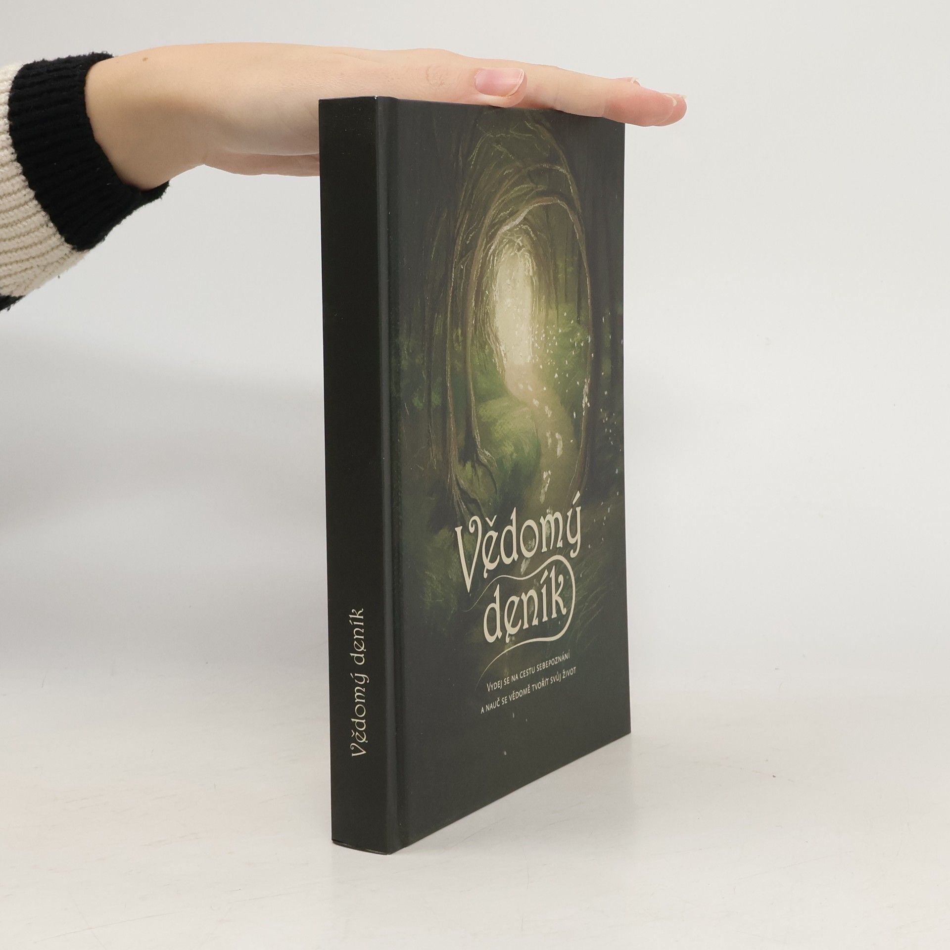 Kolektiv autorů Vědomý deník