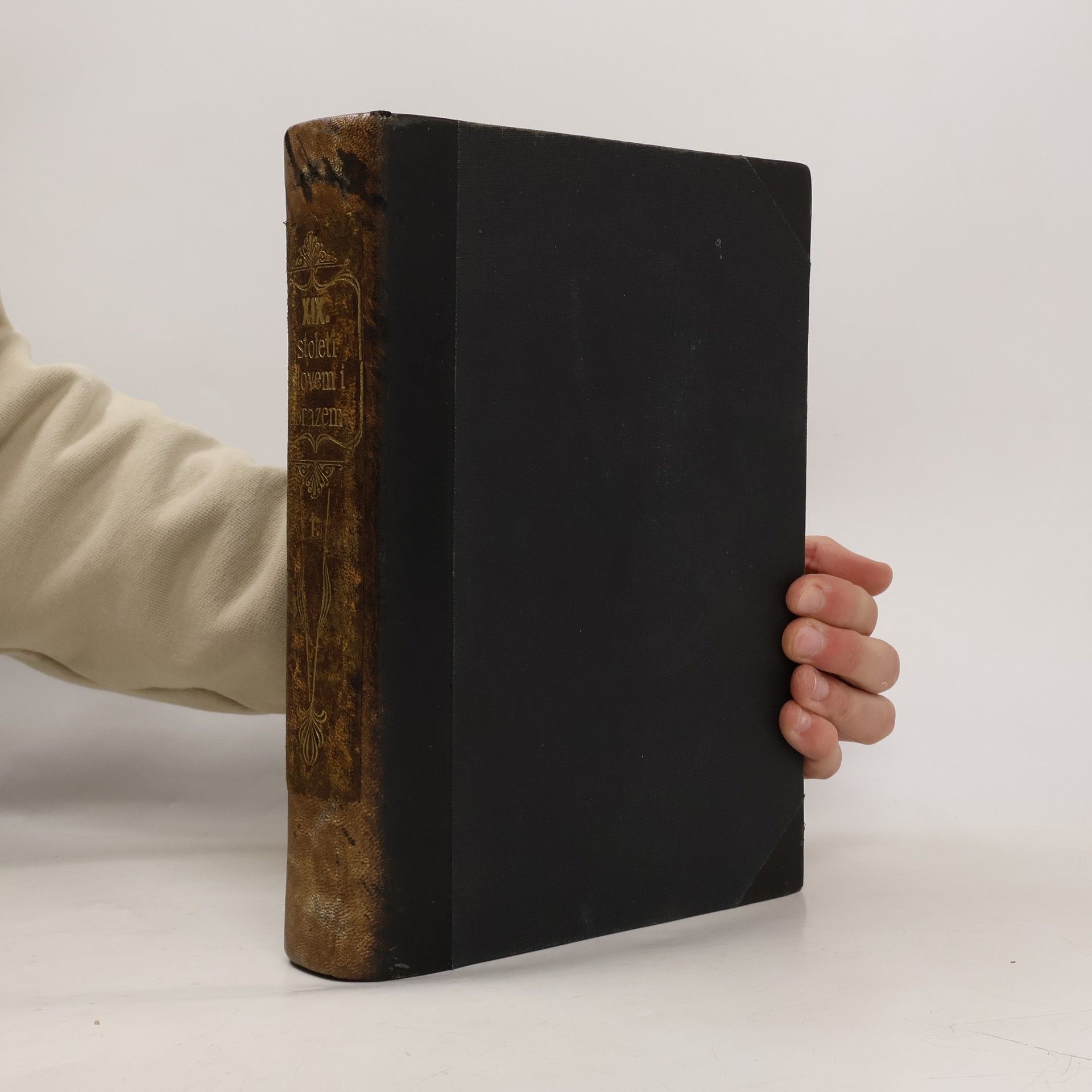 Autores varios Devatenácté století slovem i obrazem. Díl I.