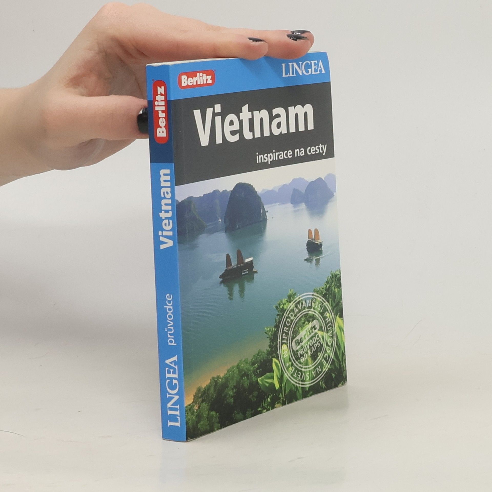 Kolektiv autorů Vietnam