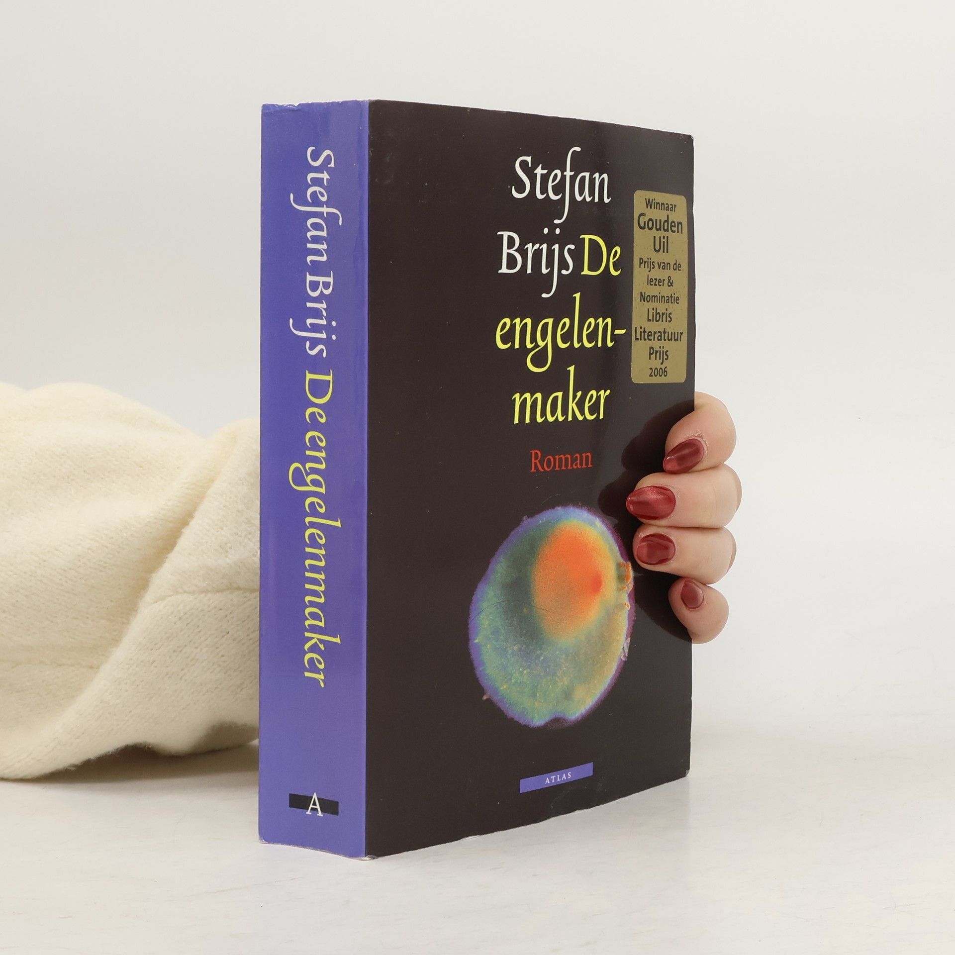 Stefan Brijs De engelenmaker