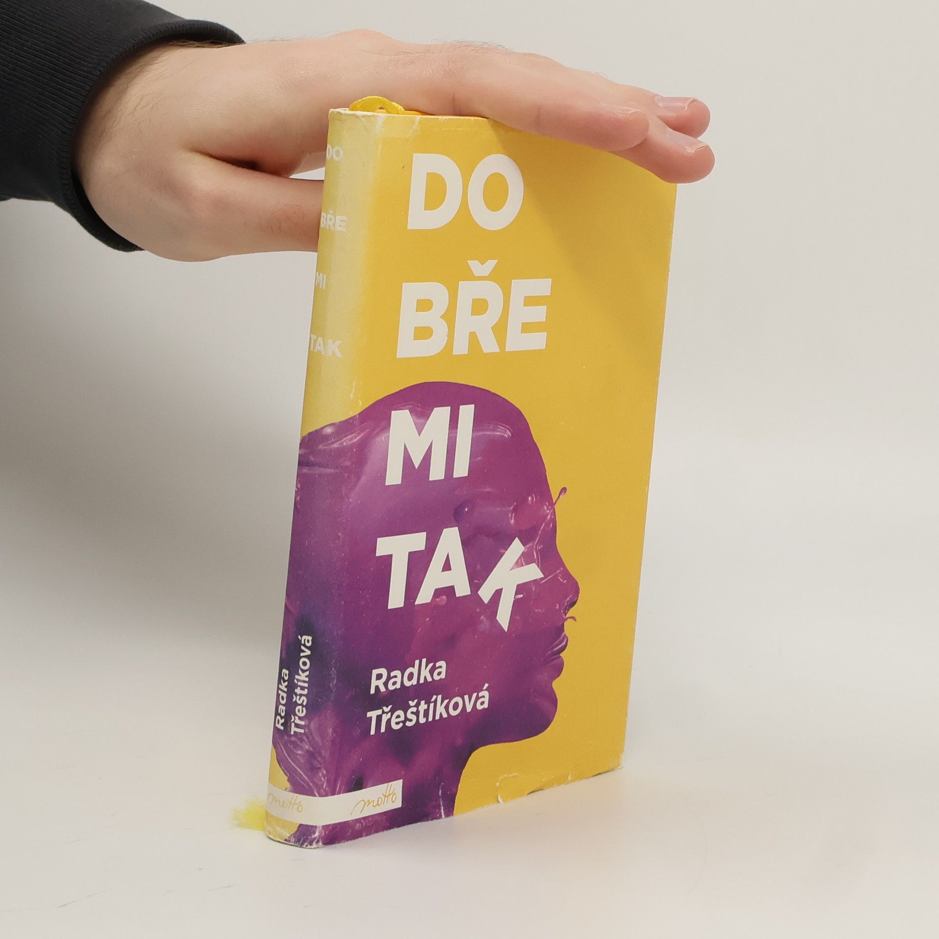 Radka Třeštíková Dobře mi tak