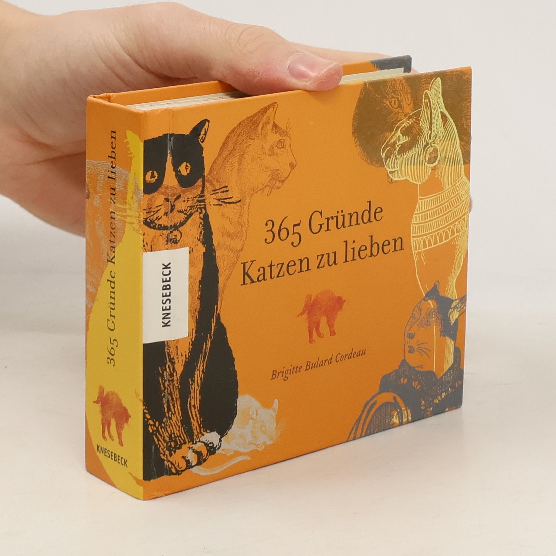 365 Gründe Katzen zu lieben