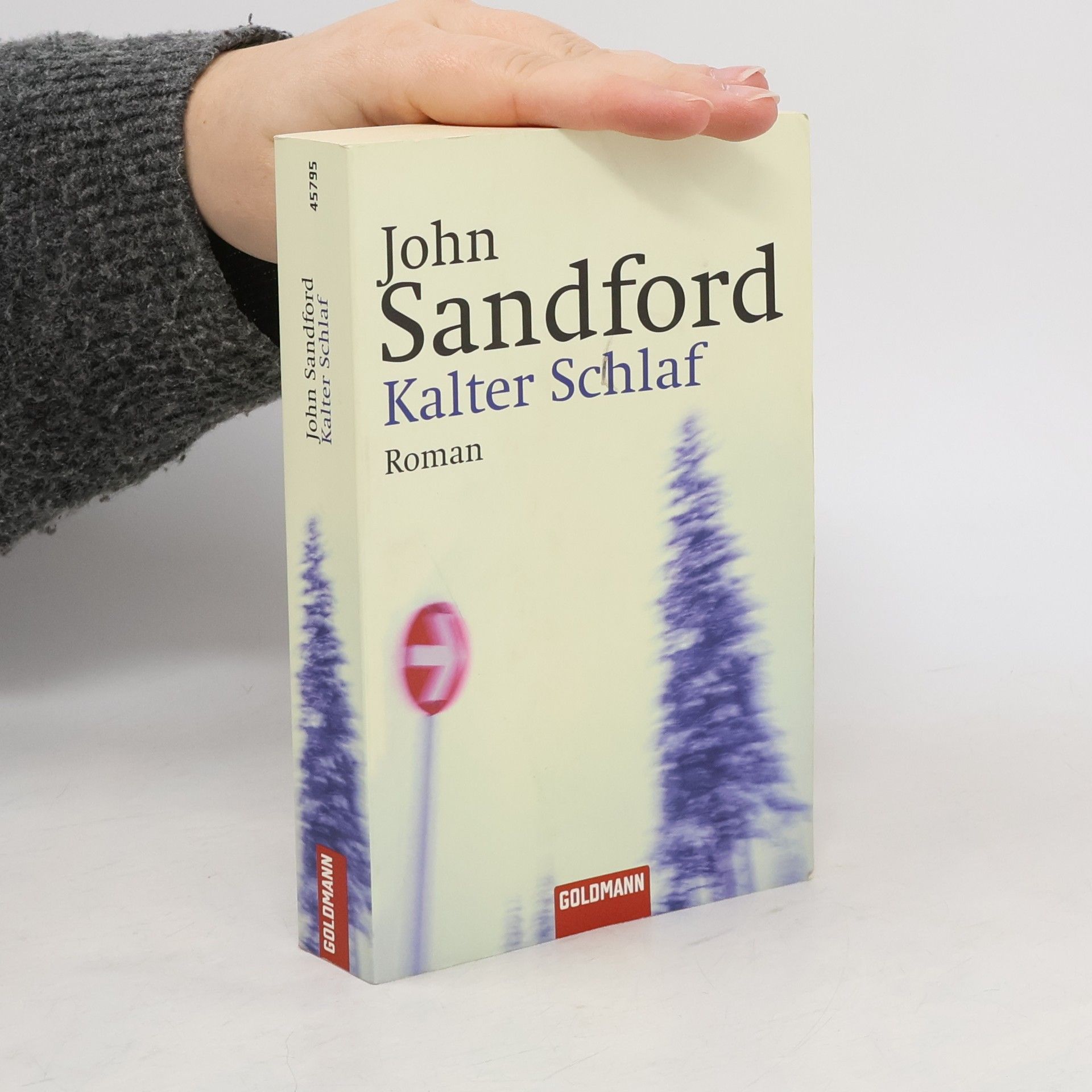 John Sandford Kalter Schlaf