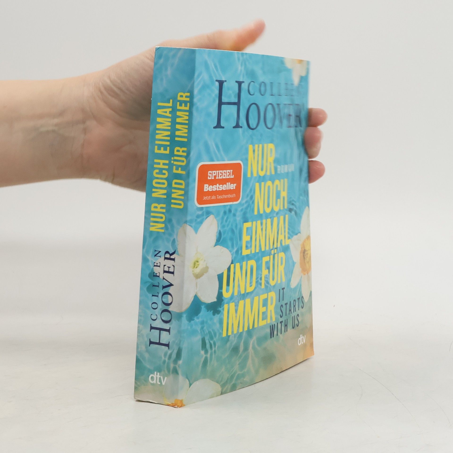 Colleen Hoover Nur noch einmal und für immer