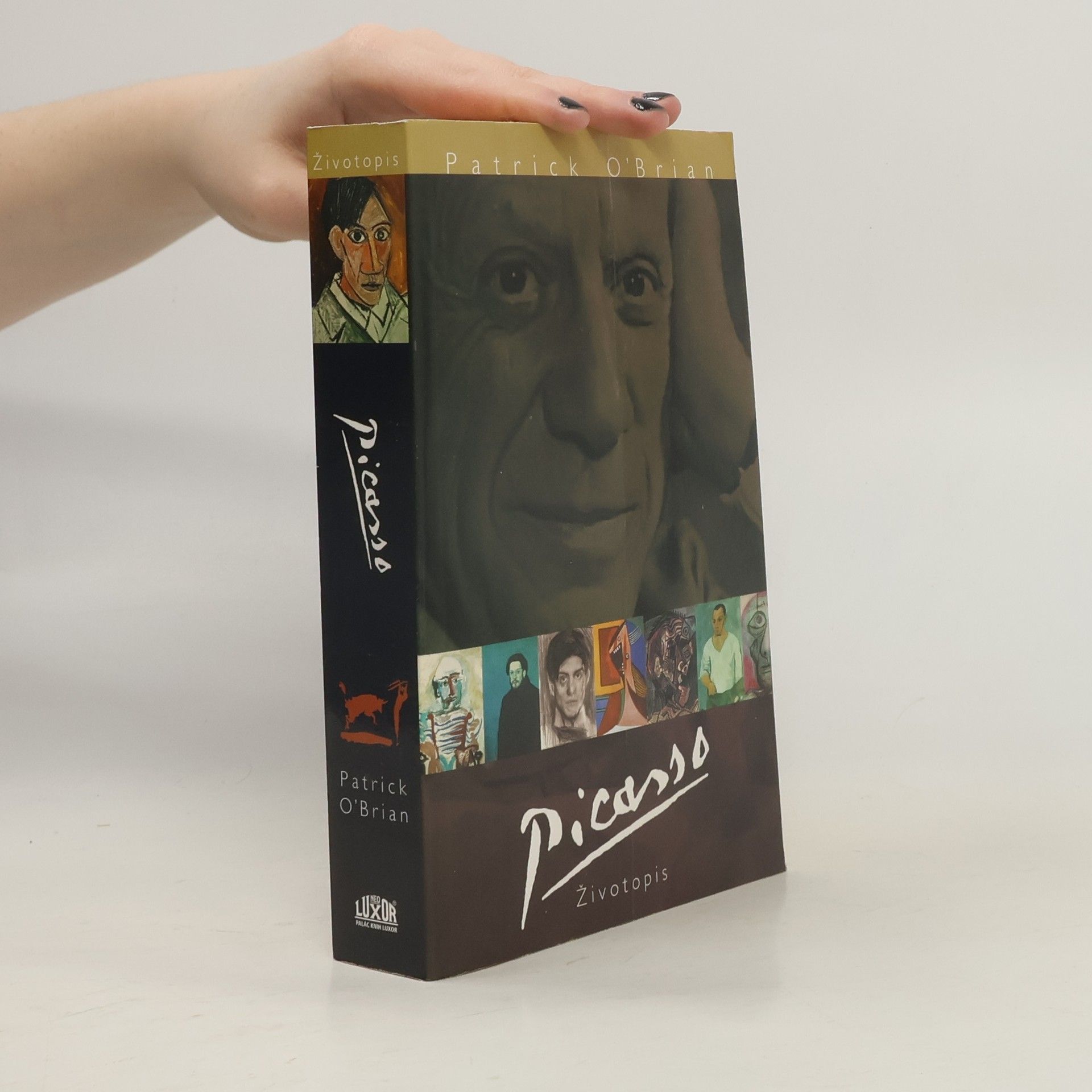 Patrick O’Brian Picasso. Životopis