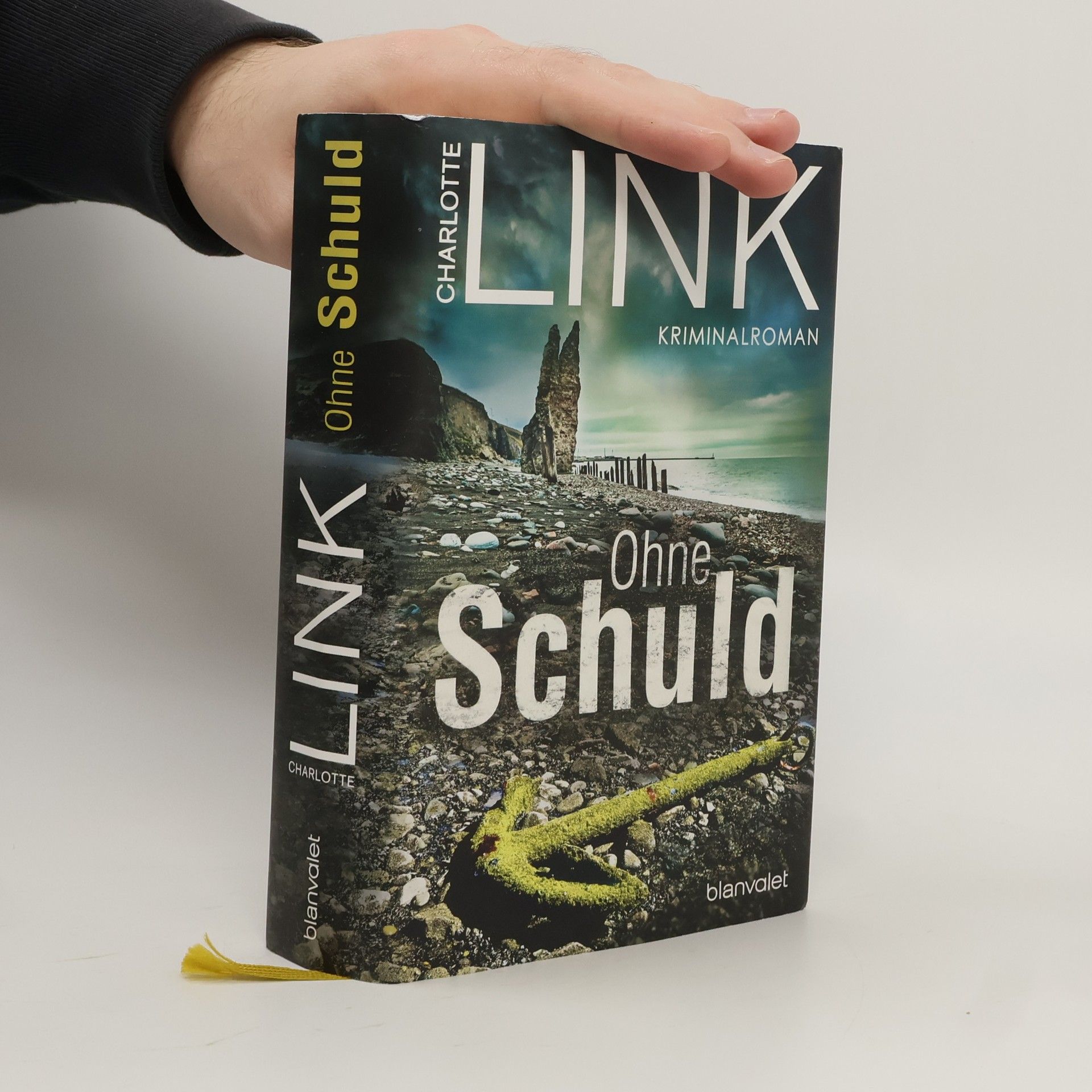 Charlotte Link Ohne Schuld