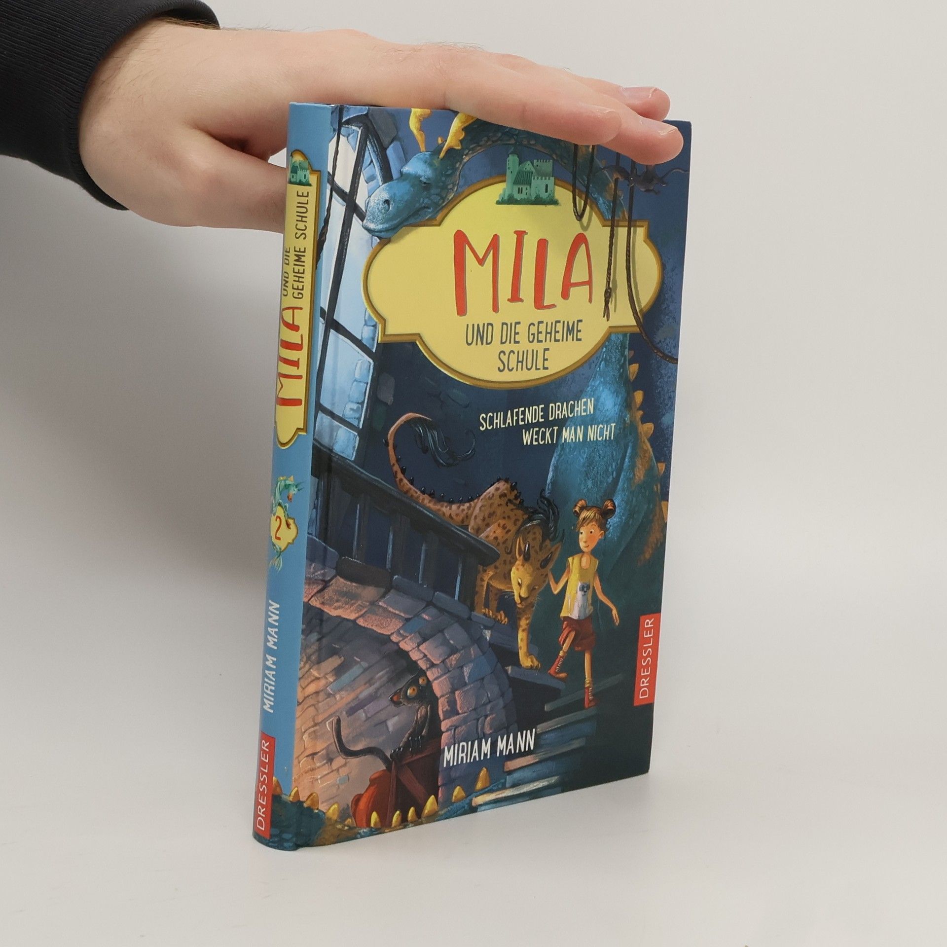 Miriam Mann Mila und die geheime Schule 2