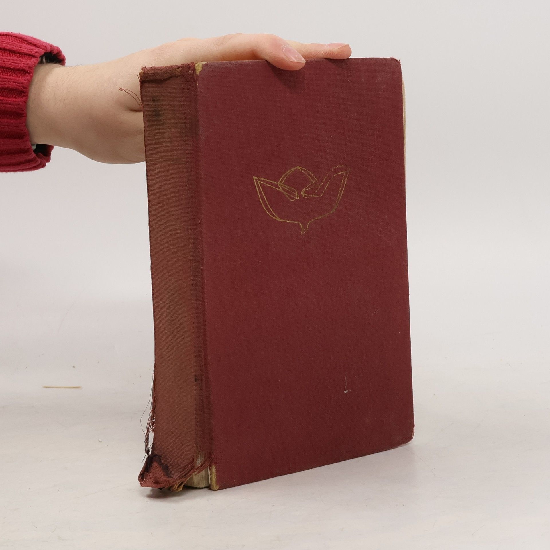 Collectif d'auteurs Katholische Schulbibel