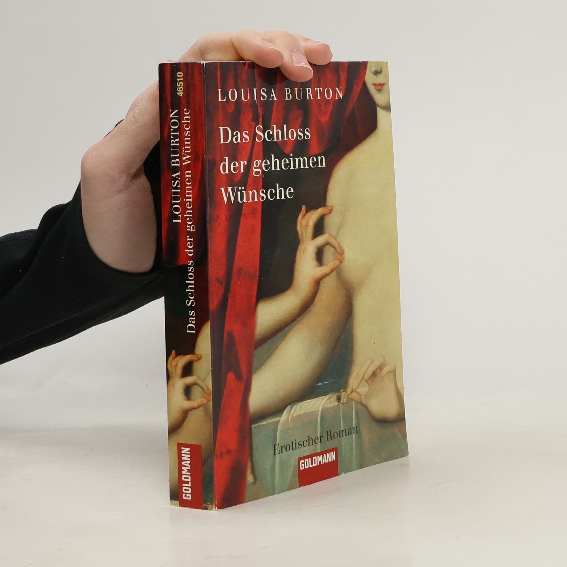 Das Schloss der geheimen Wünsche. Erotischer Roman