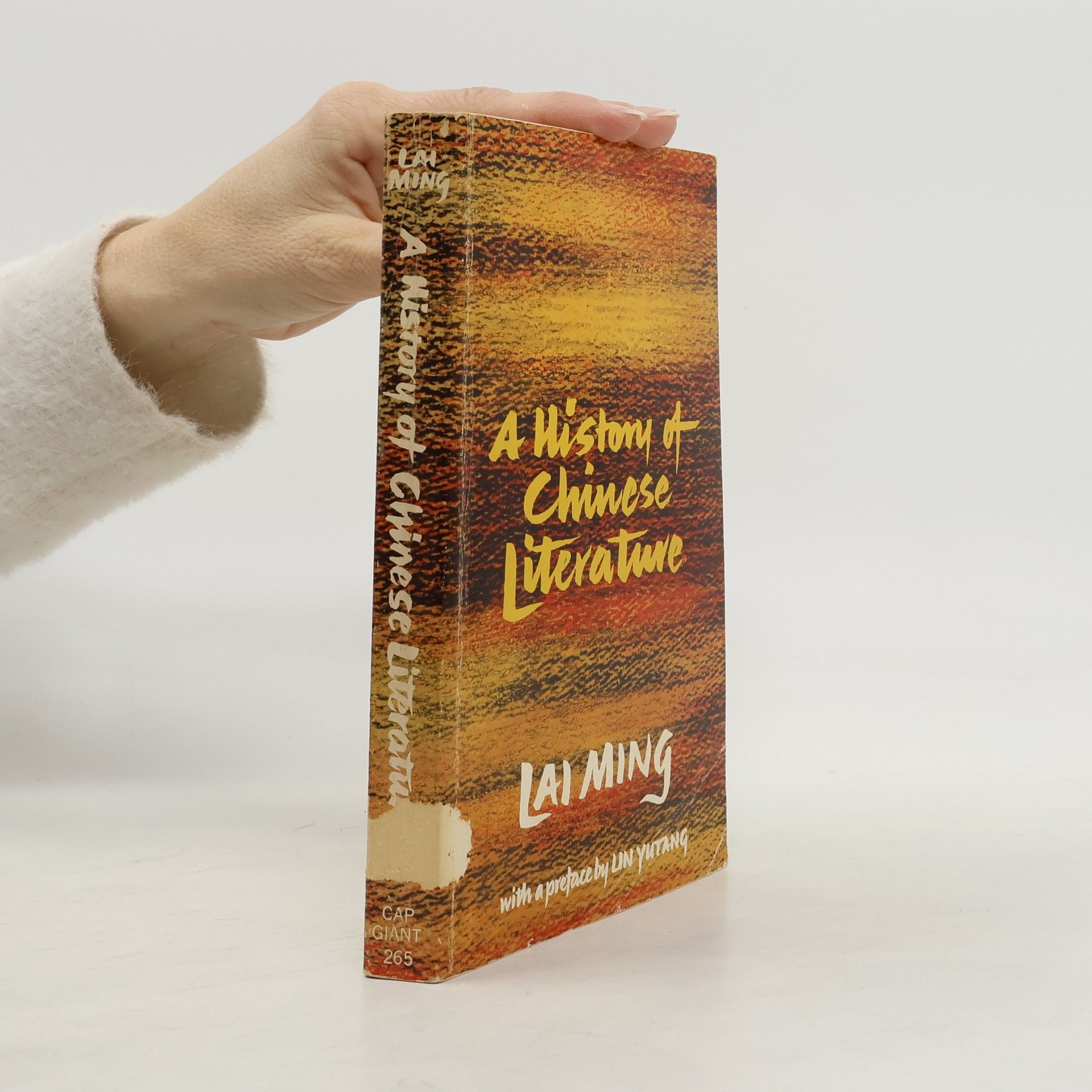 Lai Ming A History of Chinese Literature