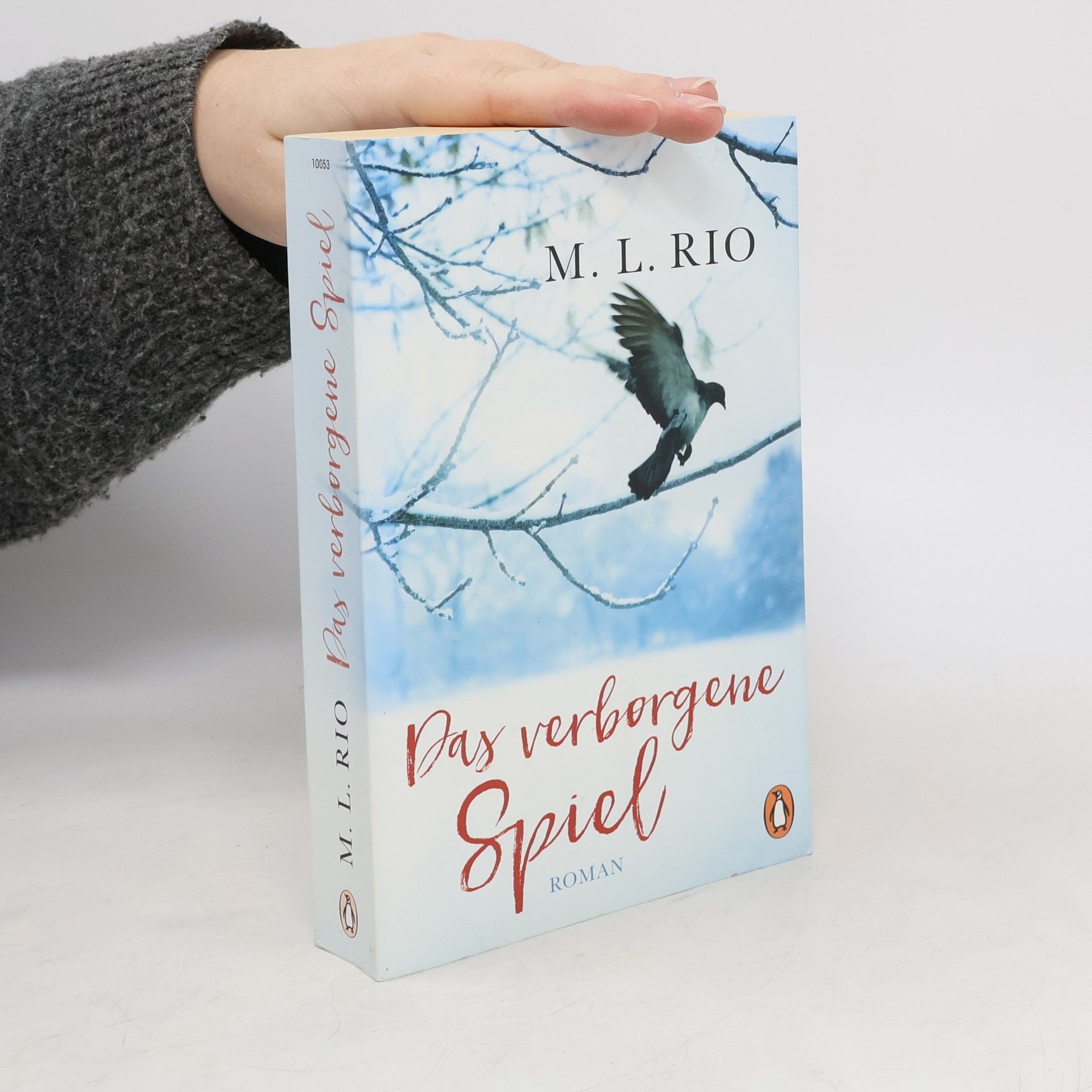 M. L. Rio Das verborgene Spiel