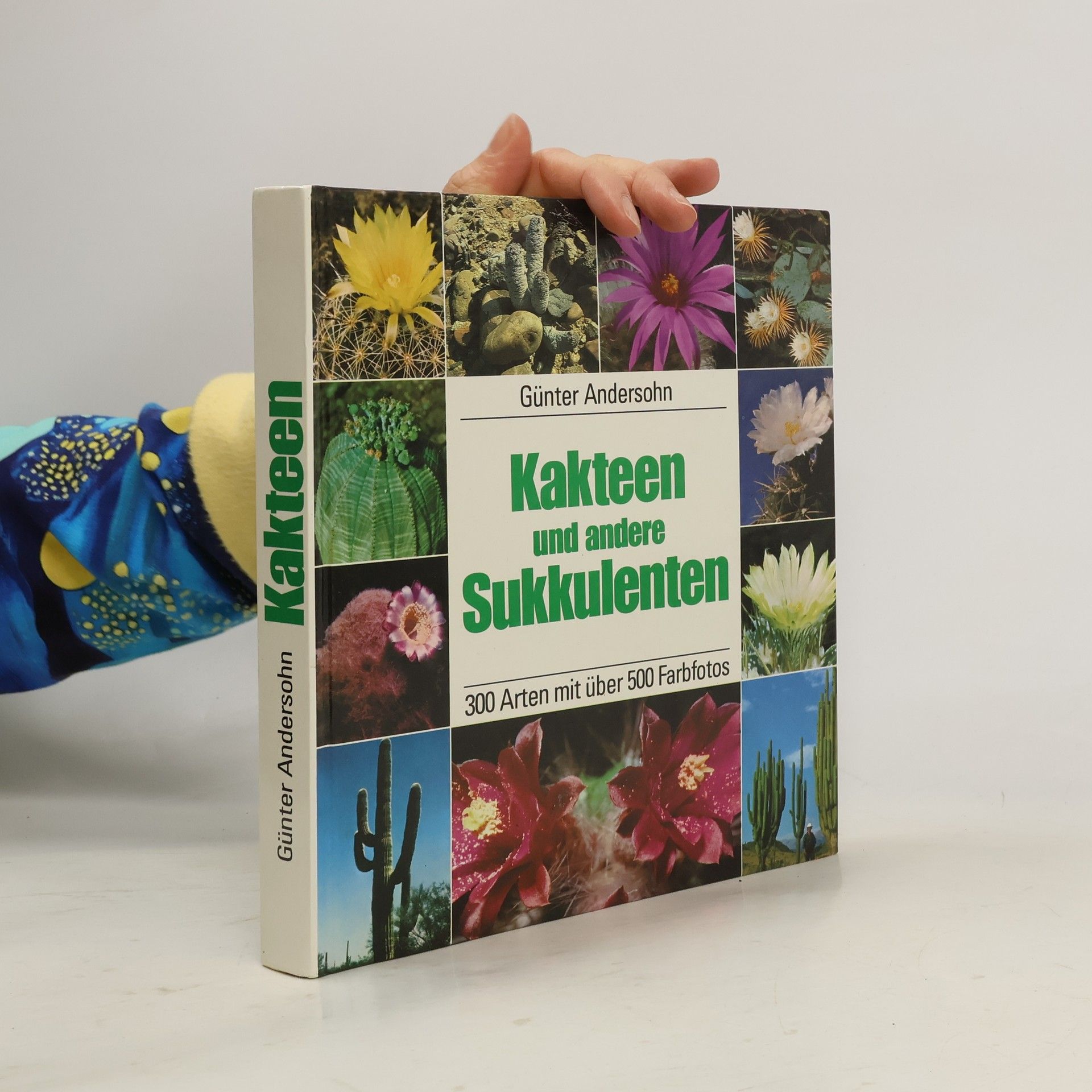 Autorenkollektiv Kakteen und andere Sukkulenten