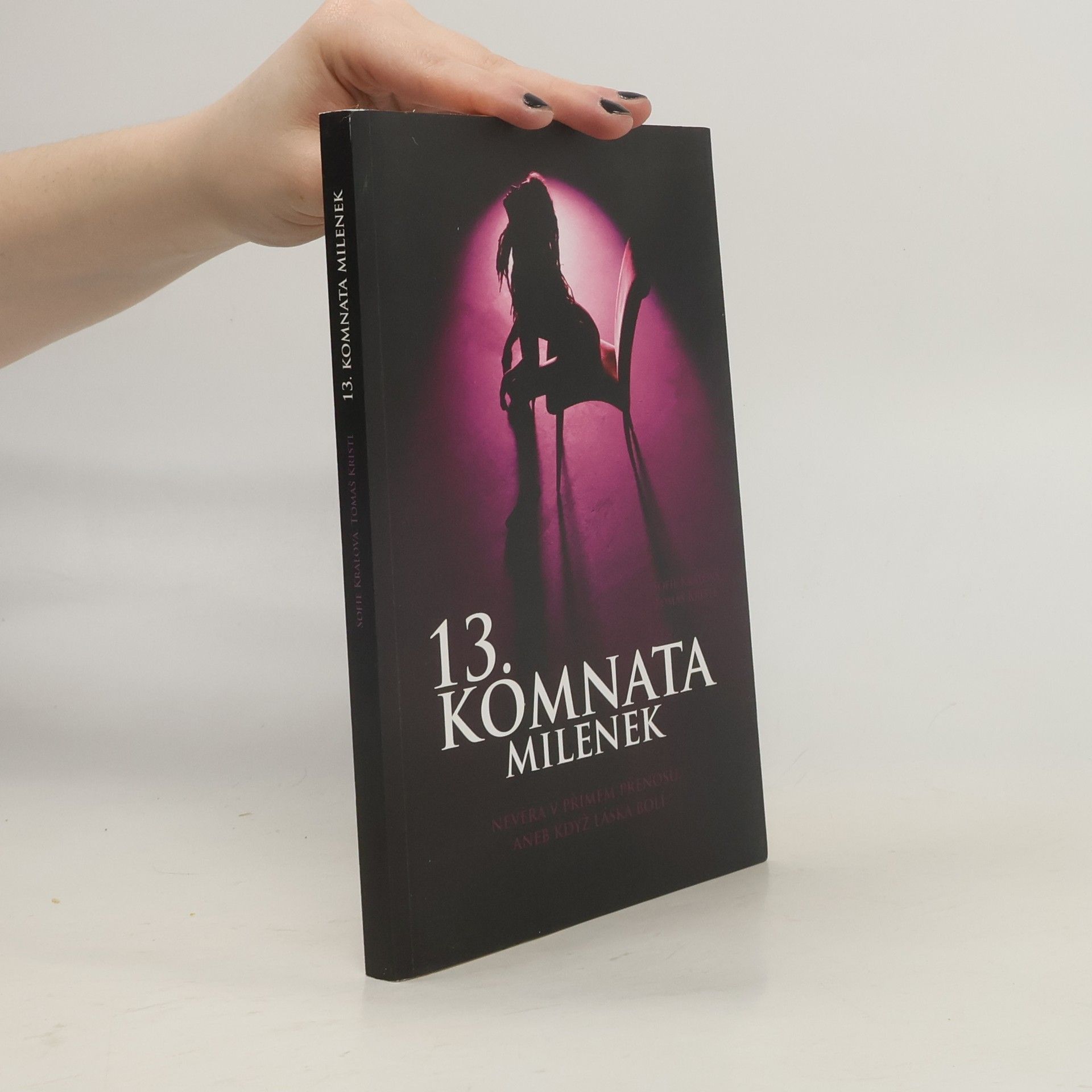 Tomáš Kristl 13. komnata milenek. Nevěra v přímém přenosu, aneb když láska bolí