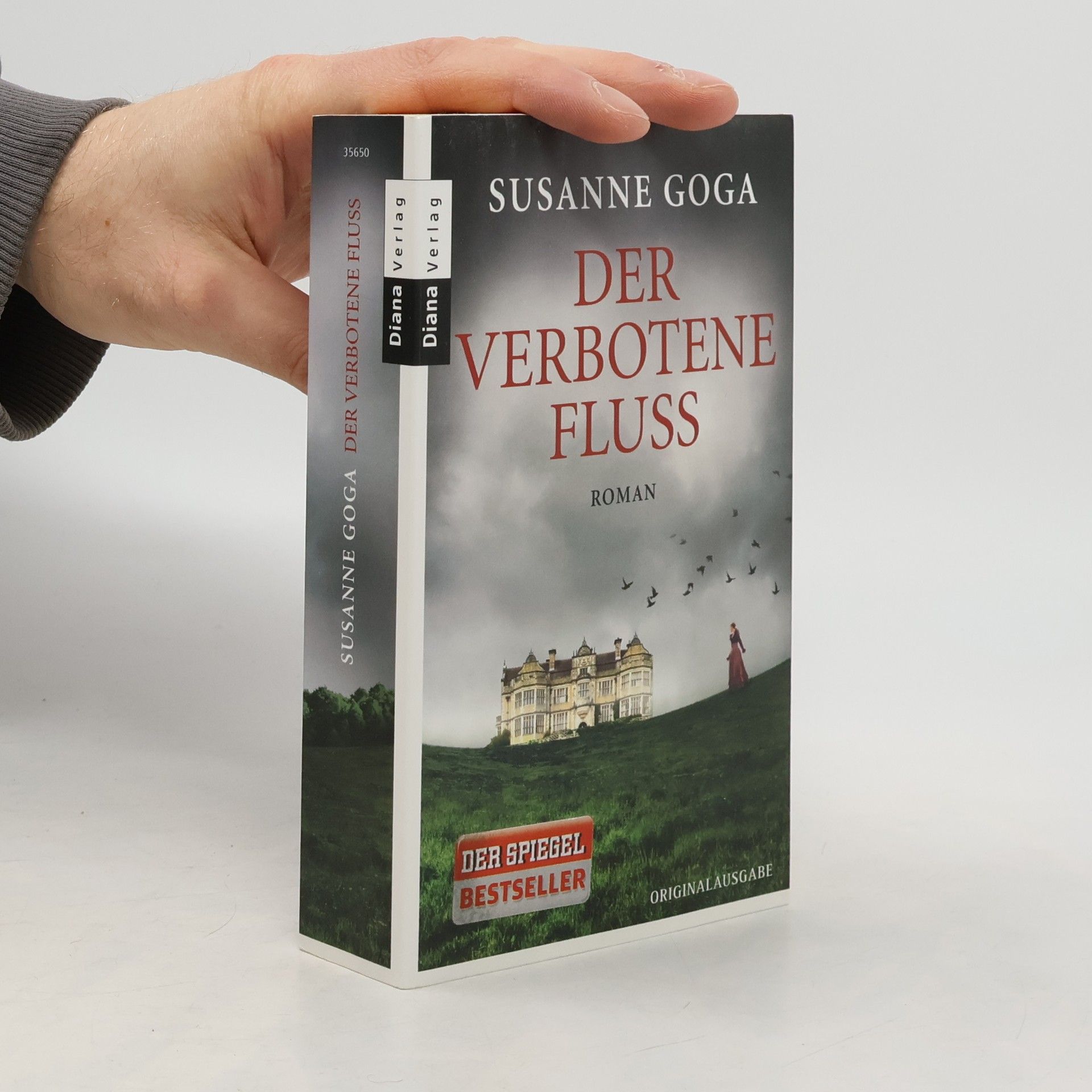 Susanne Goga Der verbotene Fluss