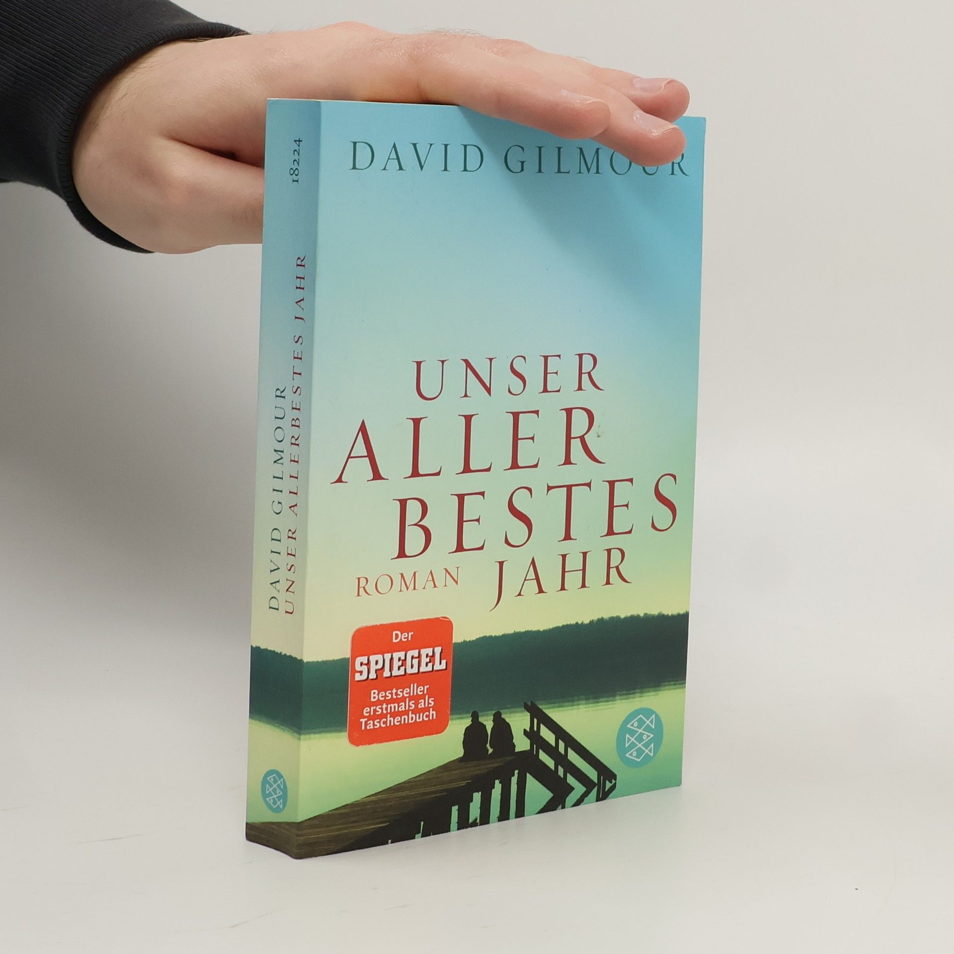 David Gilmour Unser allerbestes Jahr