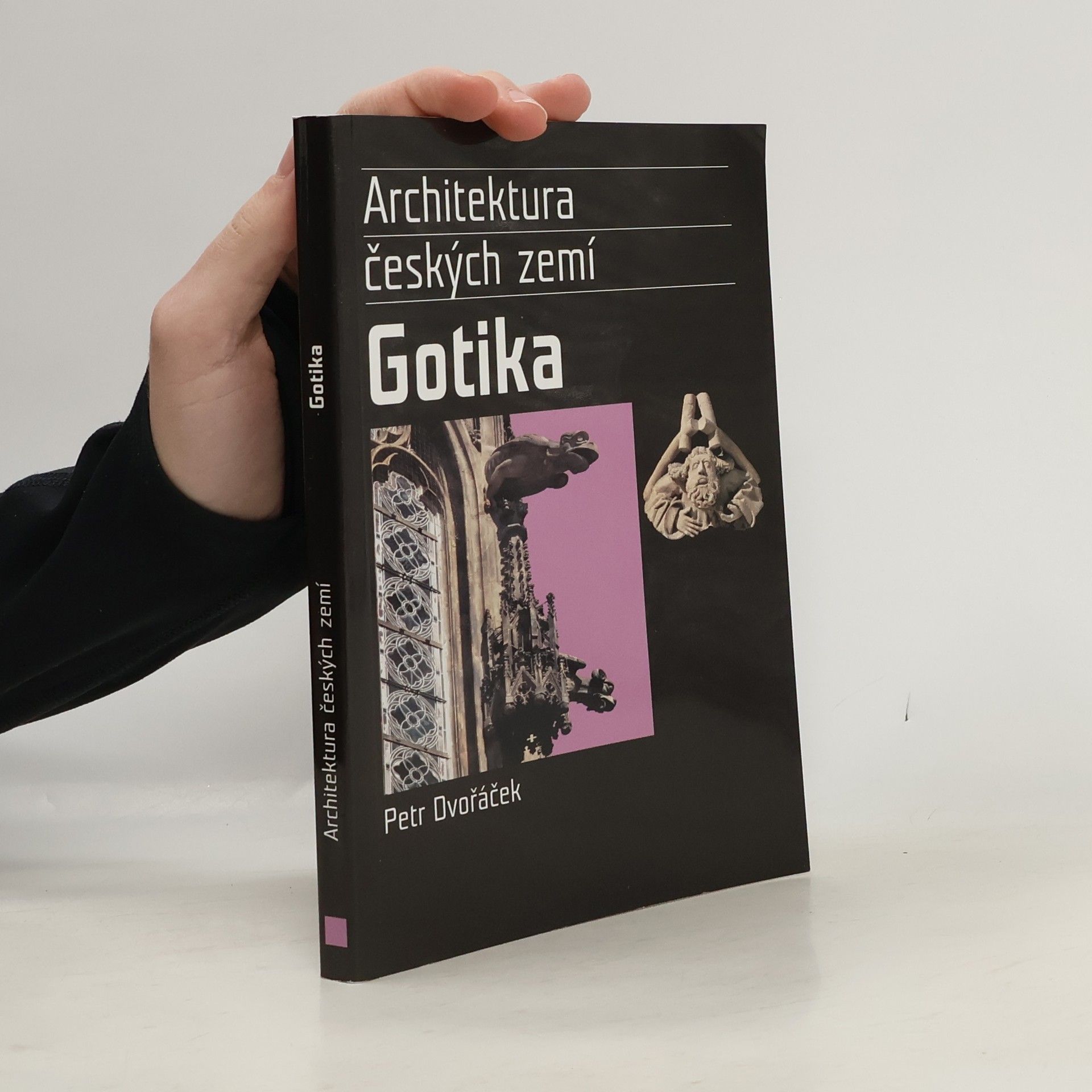 Petr Dvořáček Gotika. Architektura českých zemí