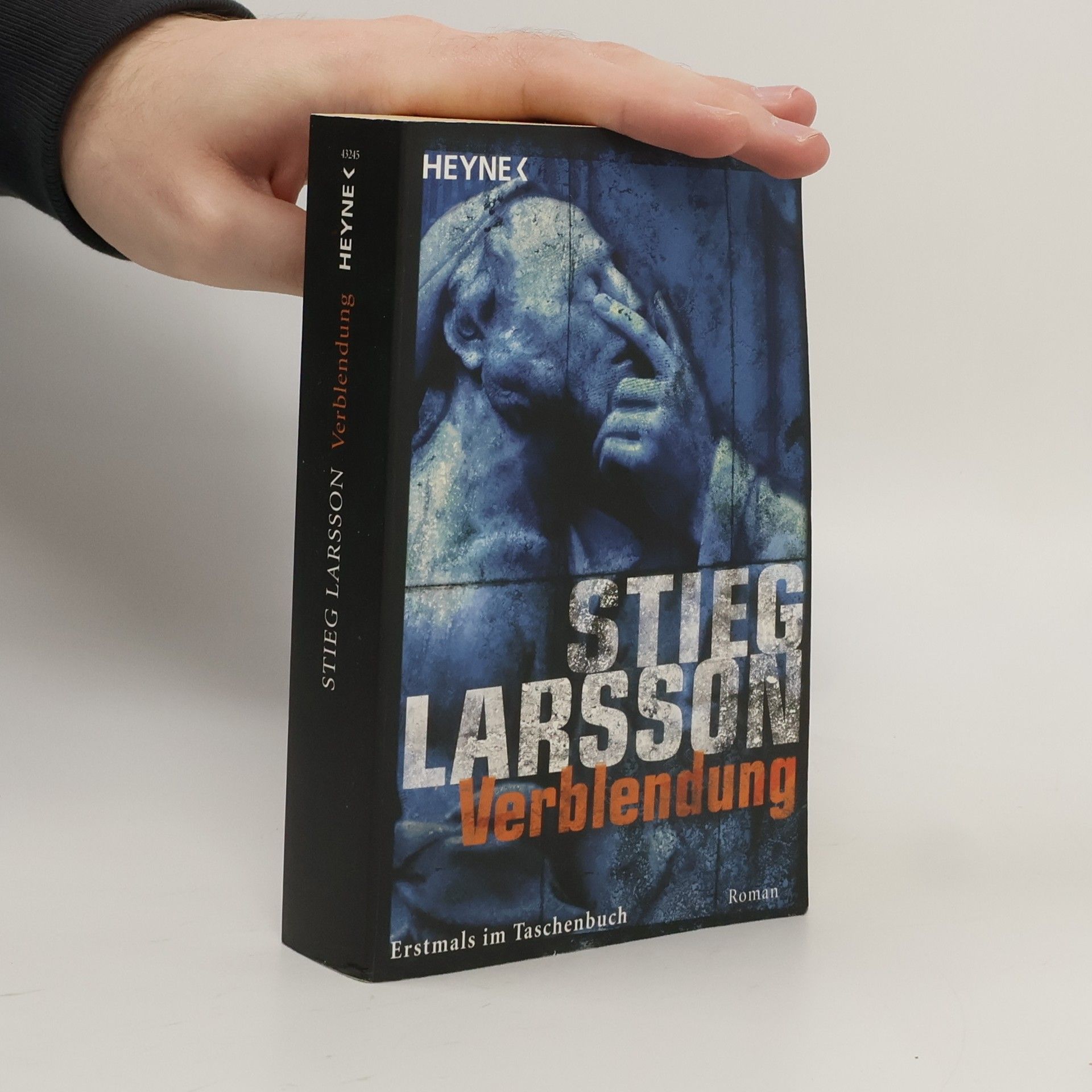 Stieg Larsson Verblendung
