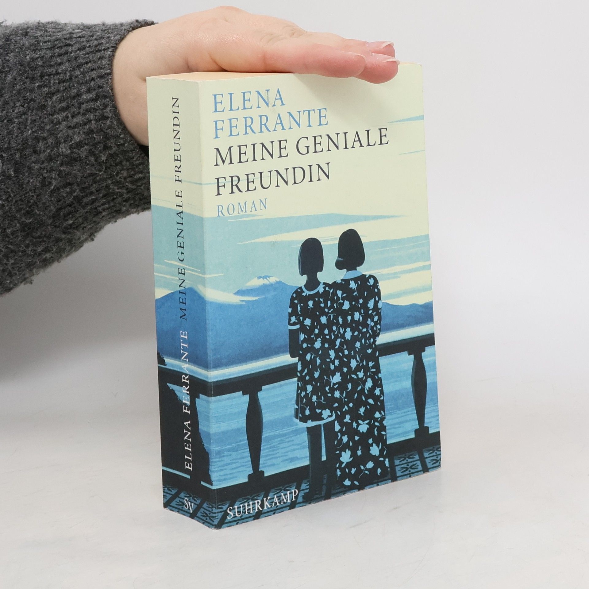 Elena Ferrante Meine geniale Freundin