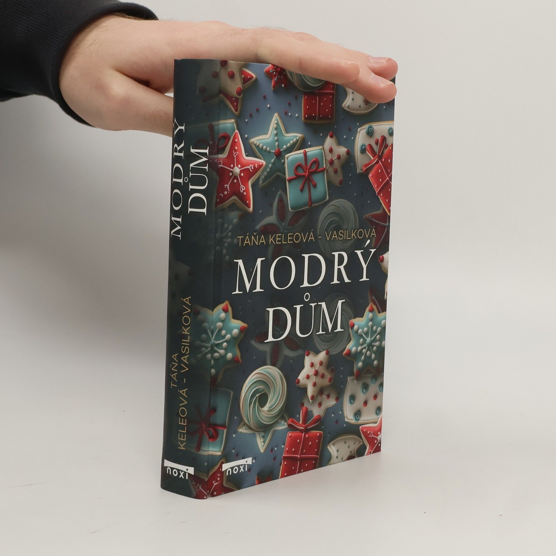 Táňa Keleová-Vasilková Modrý dům