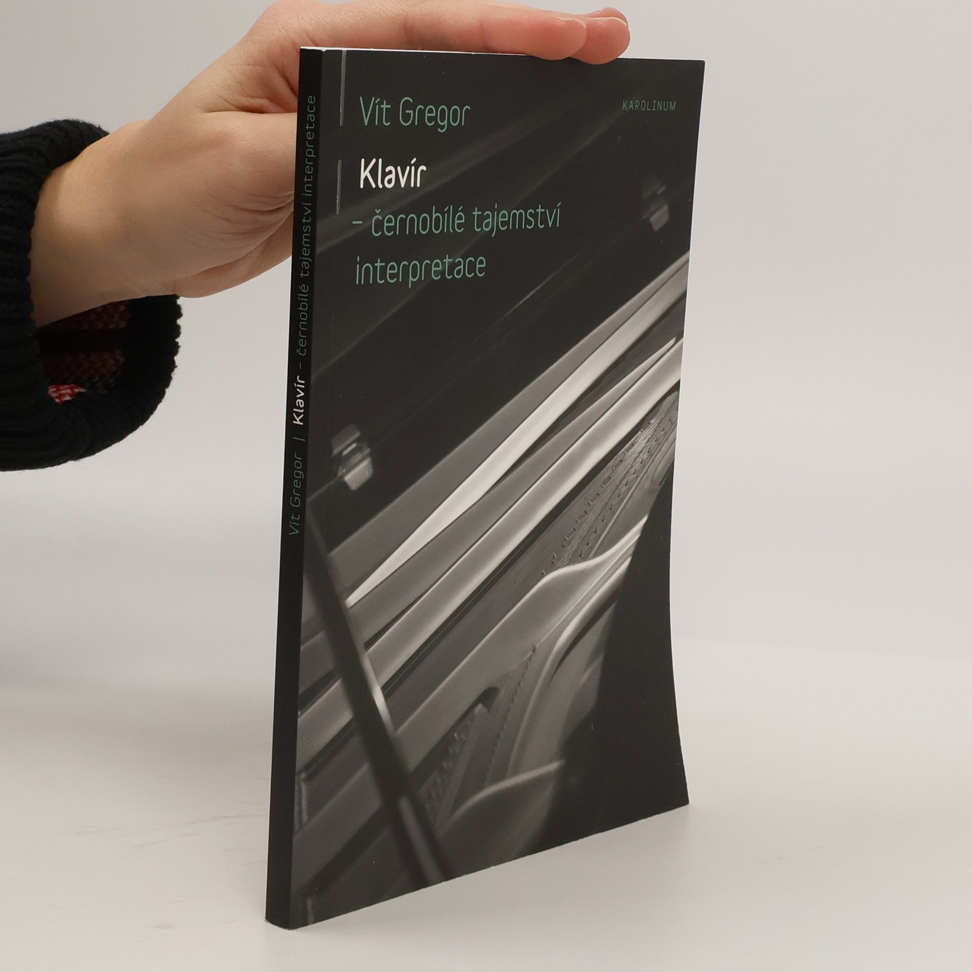 Vít Gregor Klavír