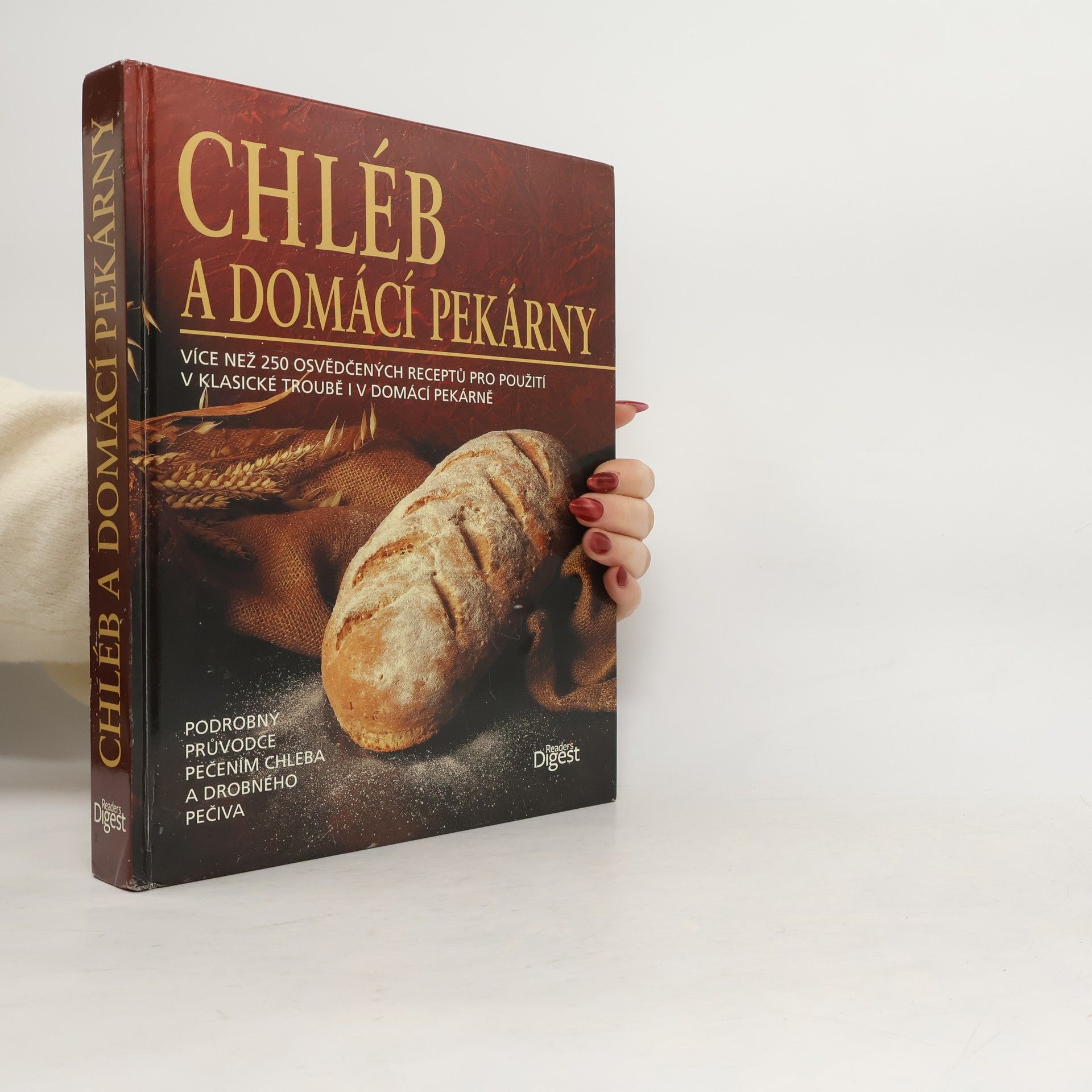 Kolektiv autorů Chléb a domácí pekárny
