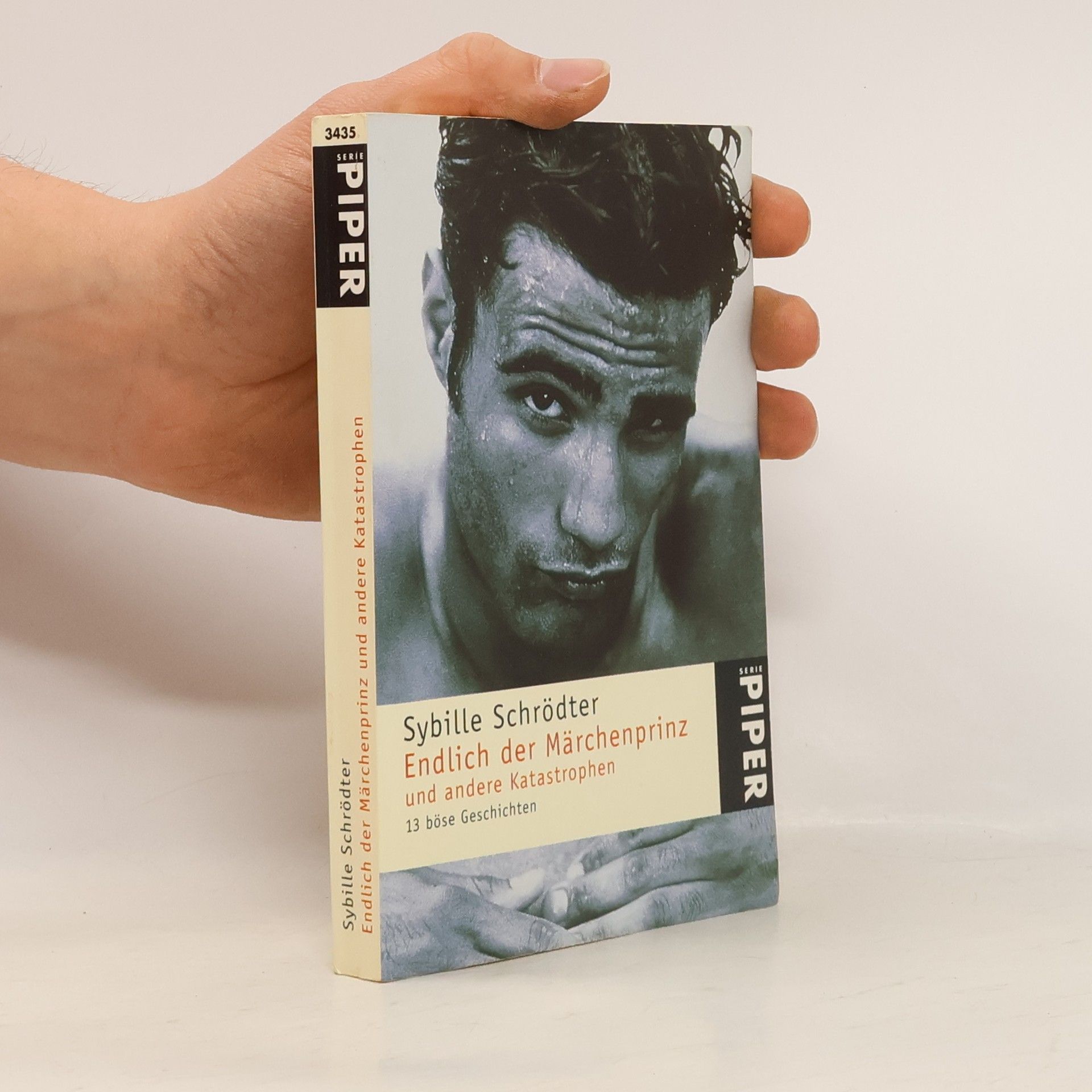 Sybille Schrödter Endlich der Märchenprinz und andere Katastrophen