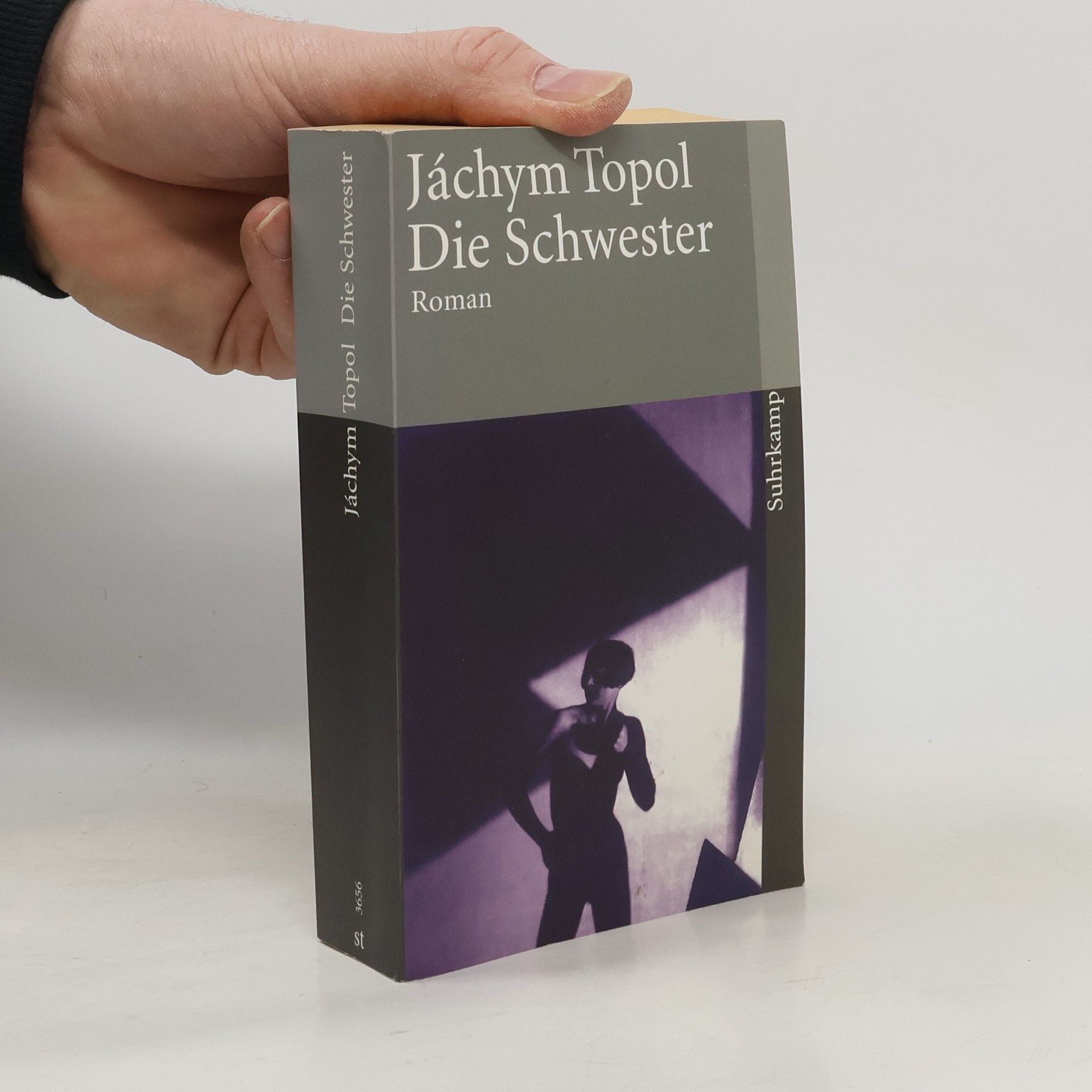 Jáchym Topol Die Schwester