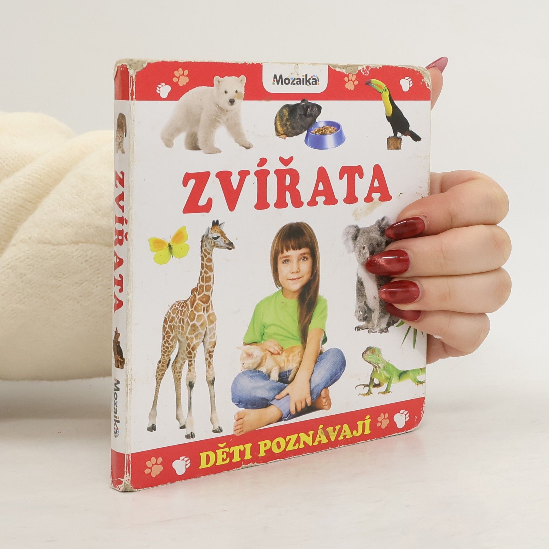 Autorenkollektiv Děti poznávají zvířata