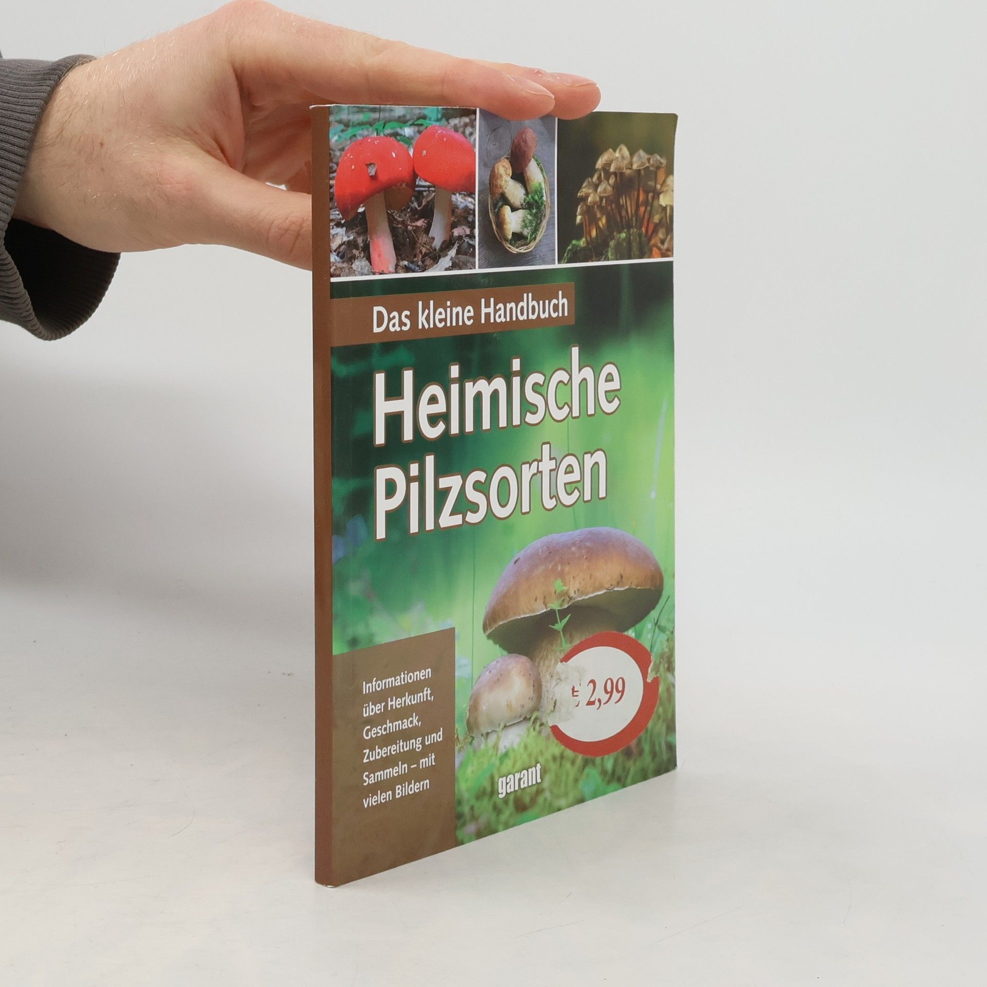 Kolektiv autorů Die häufigsten heimischen Pilzsorten