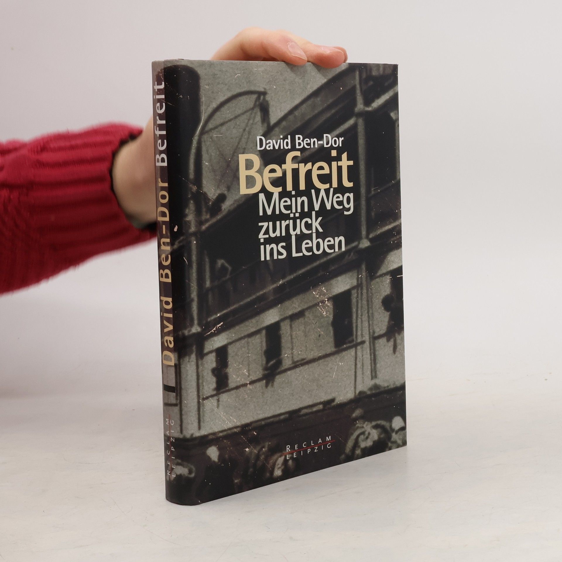 David Ben-Dor Befreit. Mein Weg zurück ins Leben