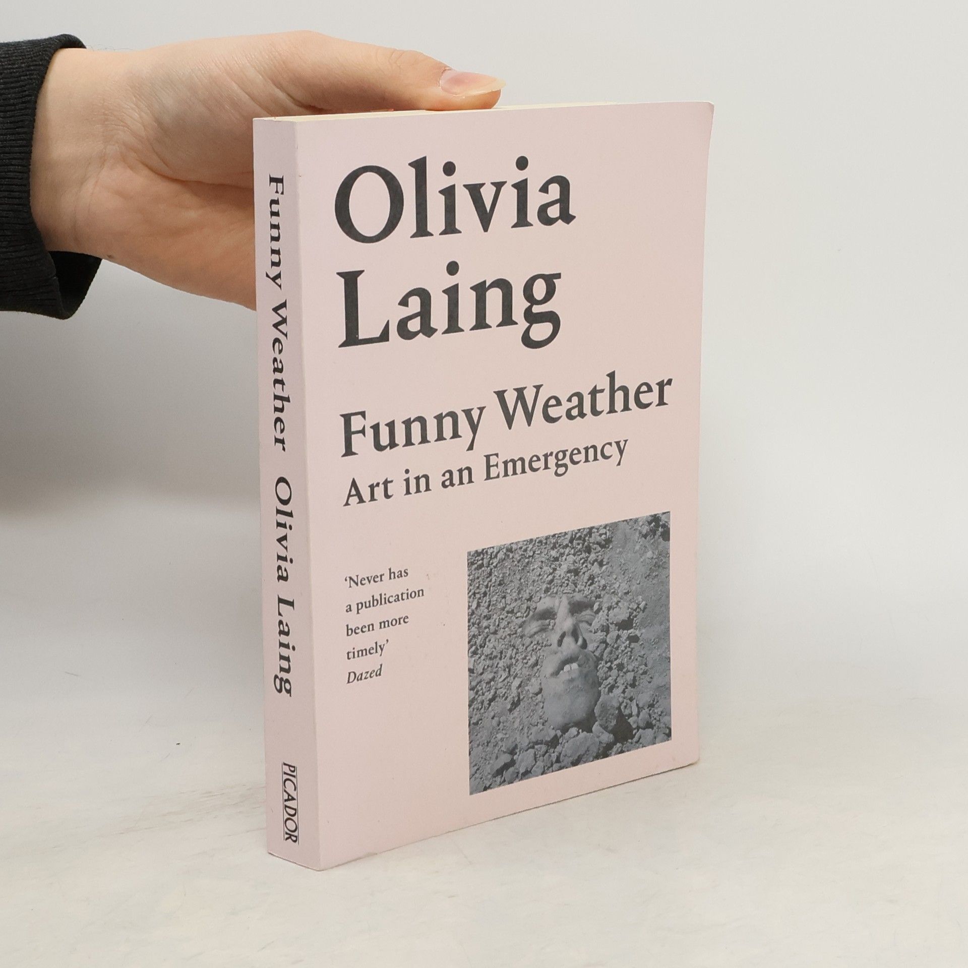 Olivia Laing Funny Weather