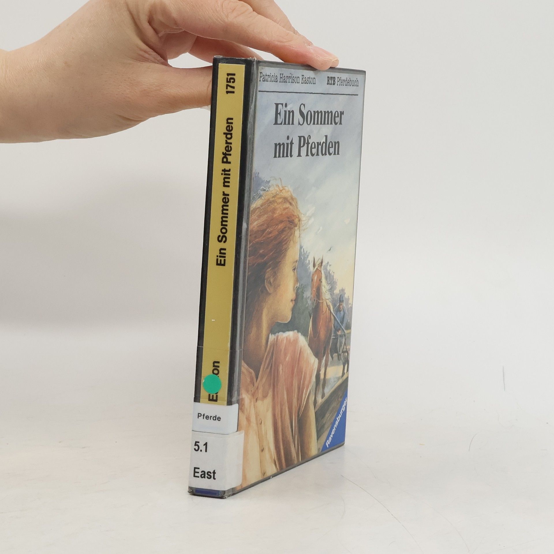 Patricia Harrison Easton Ein Sommer mit Pferden.