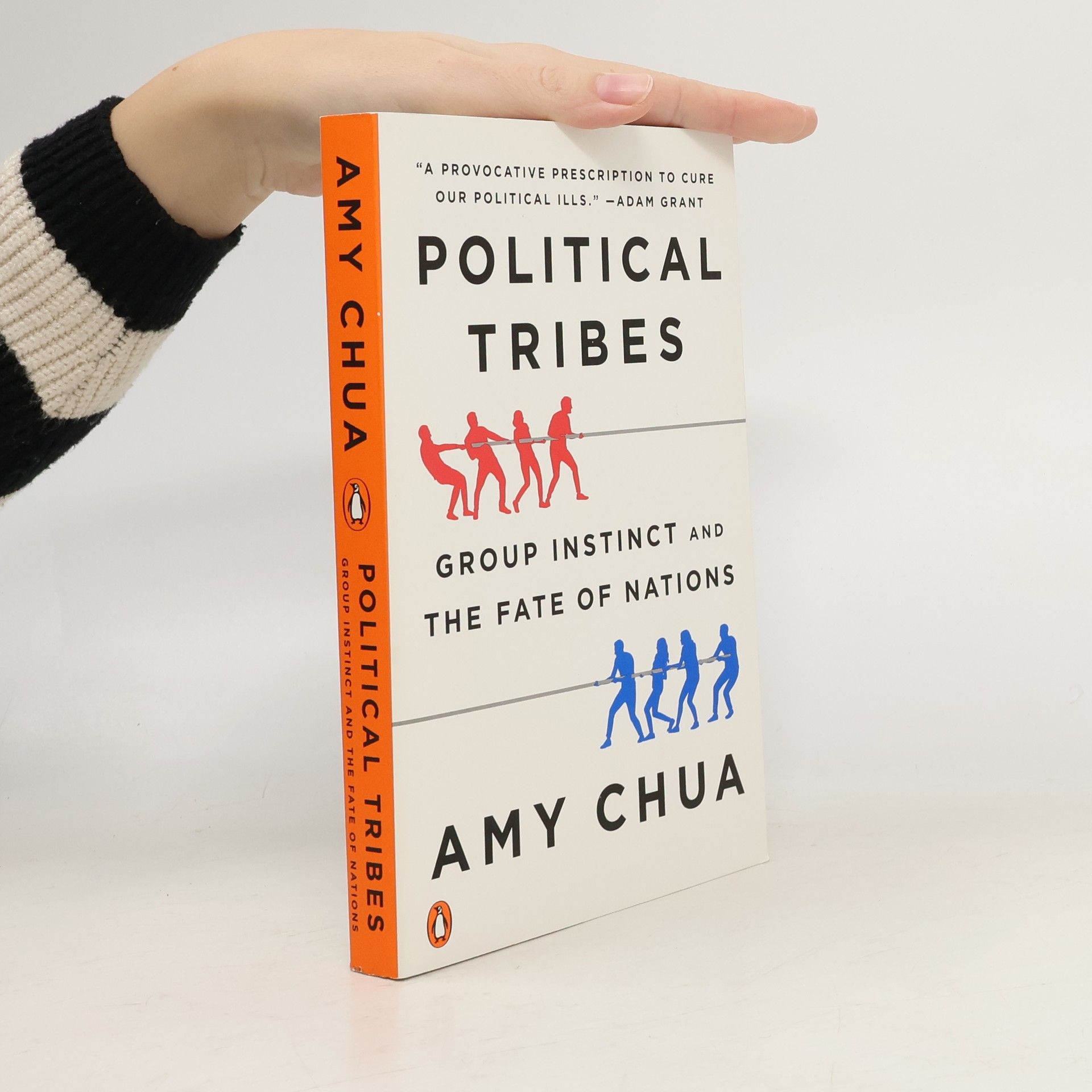 Amy Chua Political Tribes