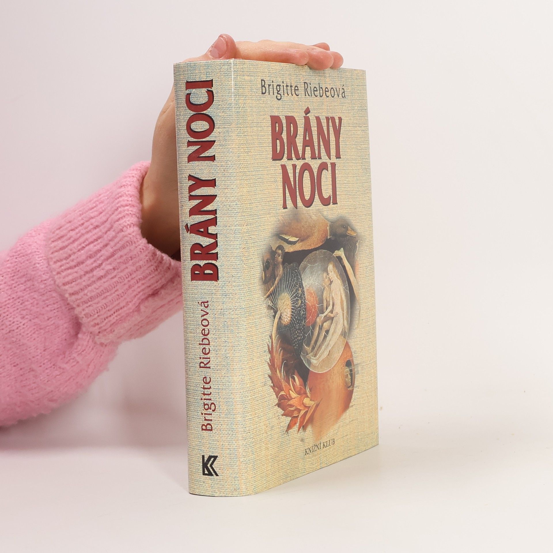 Brigitte Riebe Brány noci