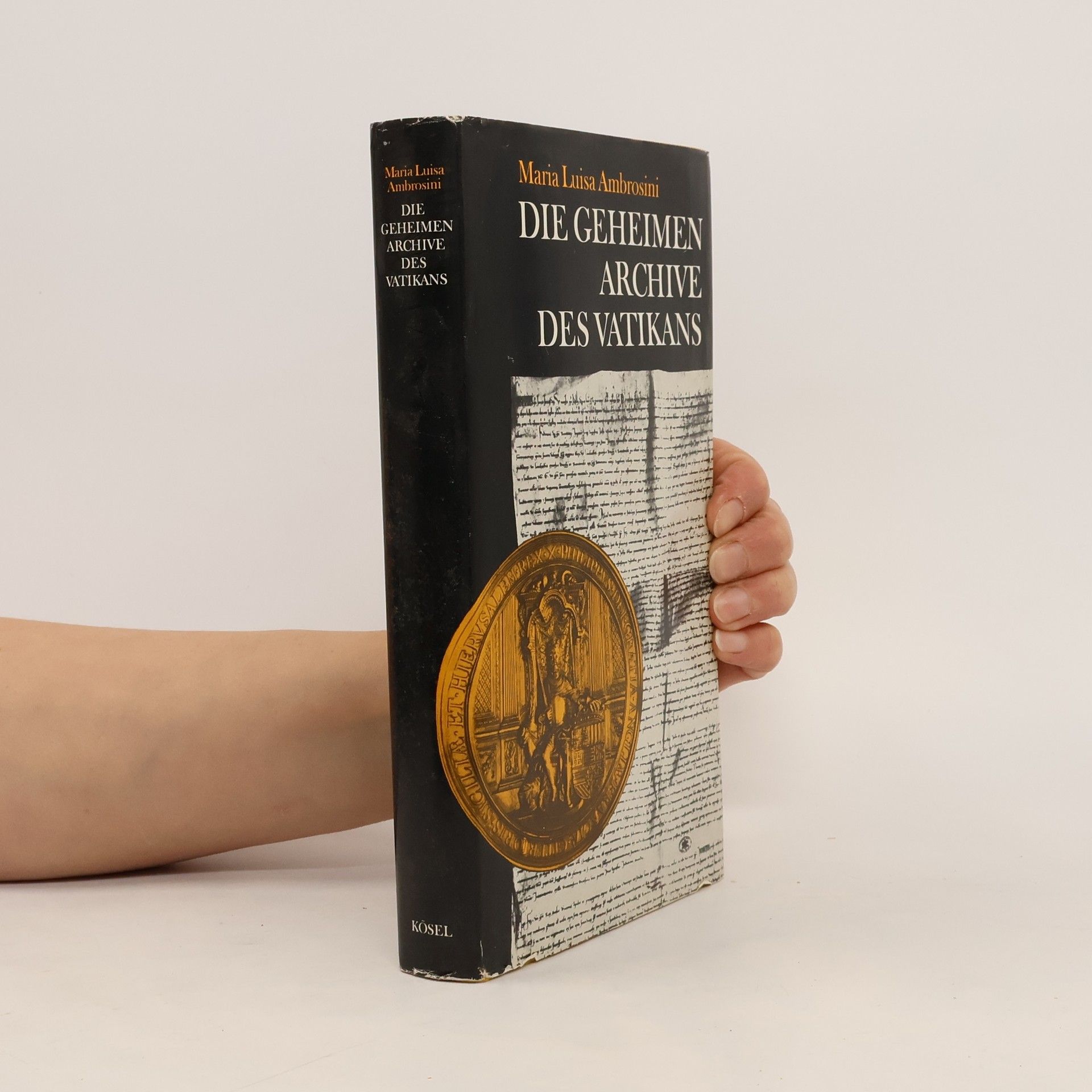 Maria Luisa Ambrosini Die geheimen Archive des Vatikans