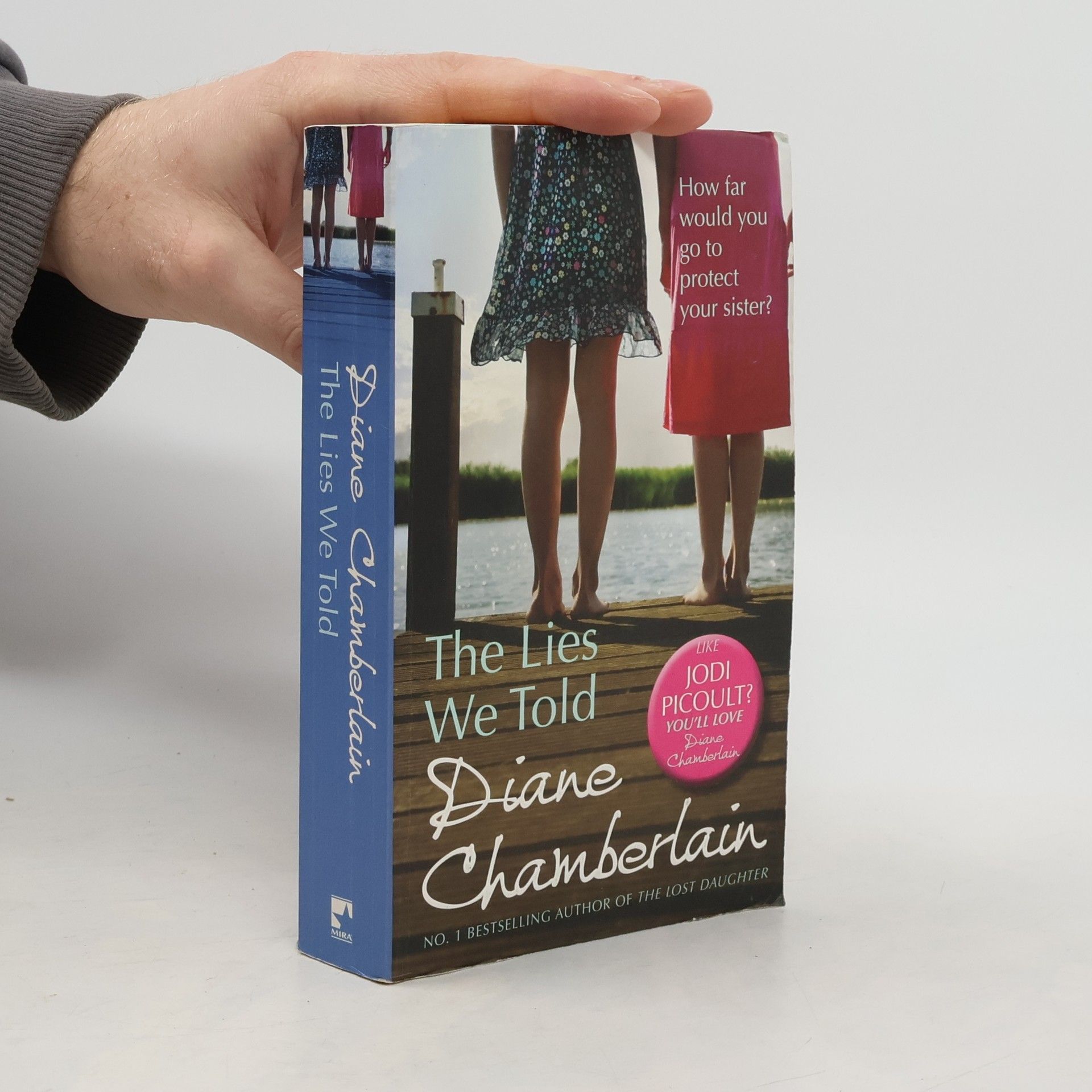 Diane Chamberlain The Lies We Told