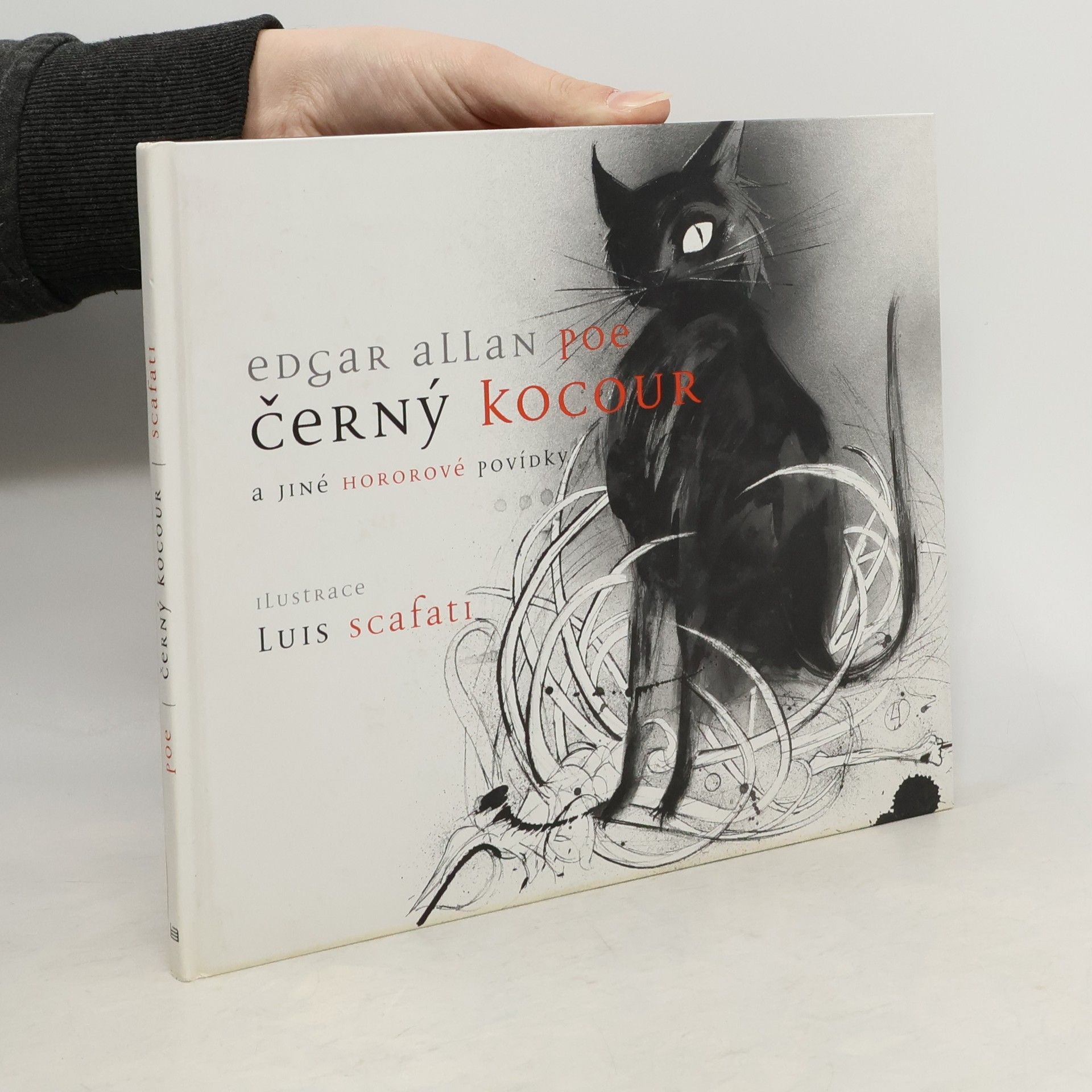 Edgar Allan Poe Černý kocour a jiné hororové povídky