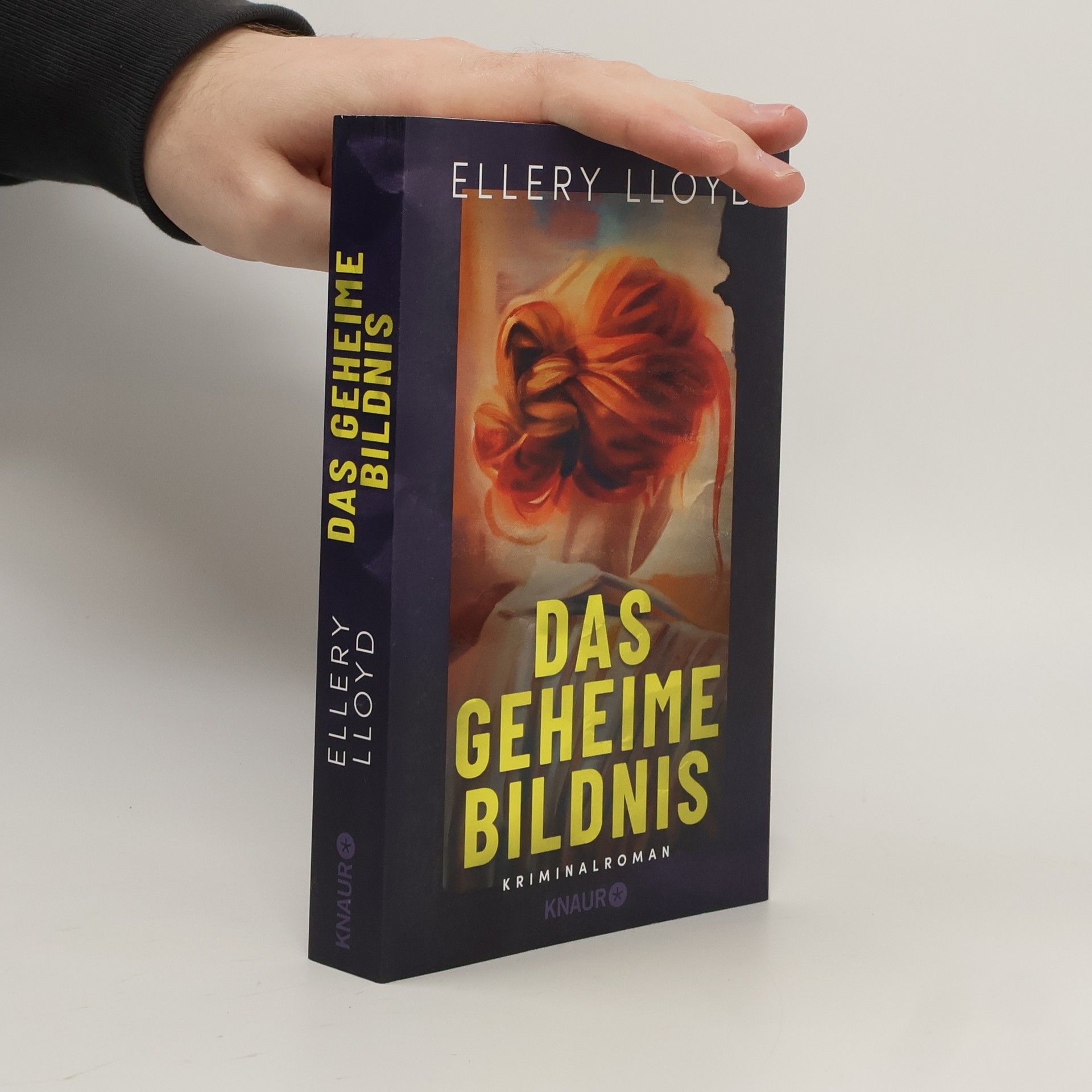 Ellery Lloyd Das geheime Bildnis