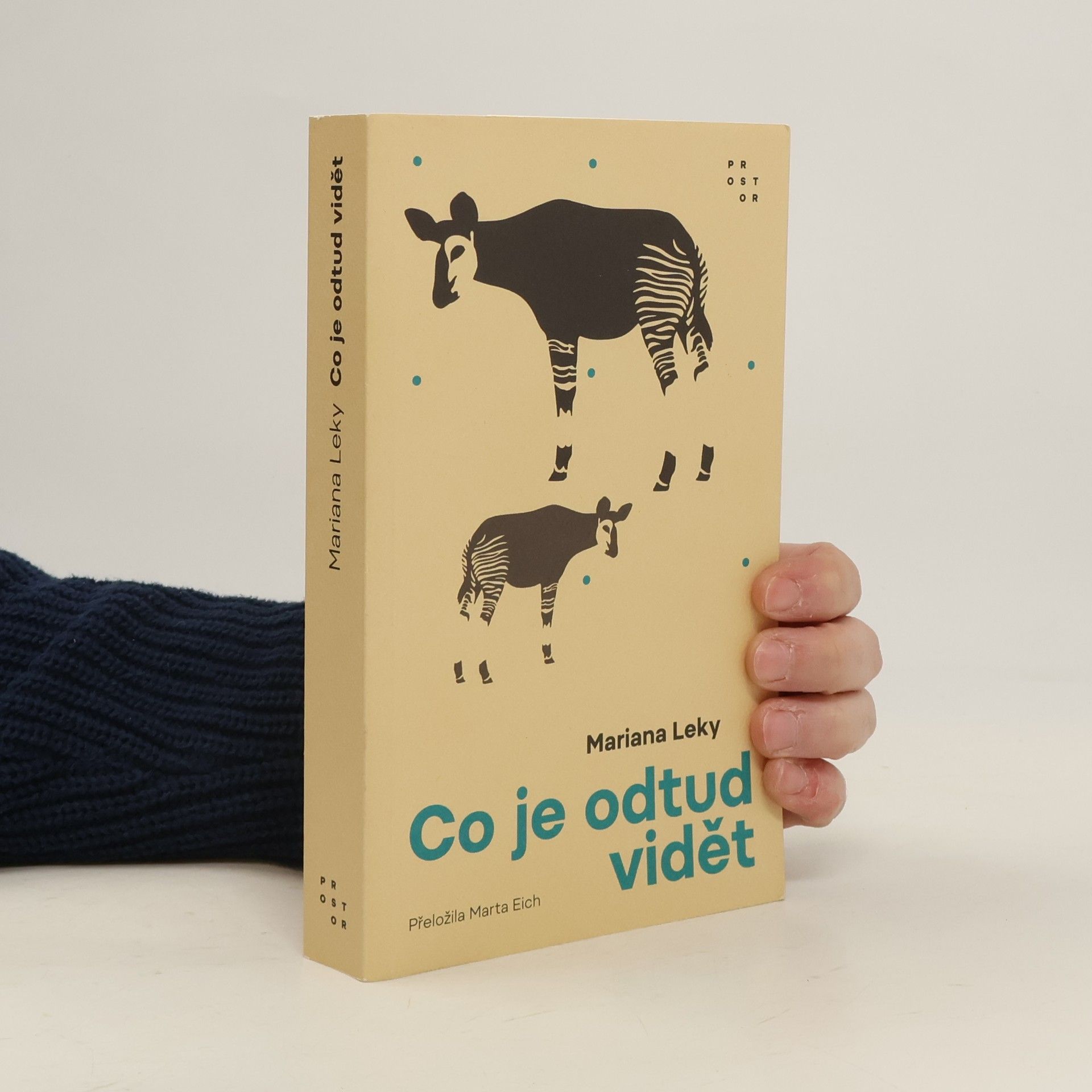 Mariana Leky Co je odtud vidět