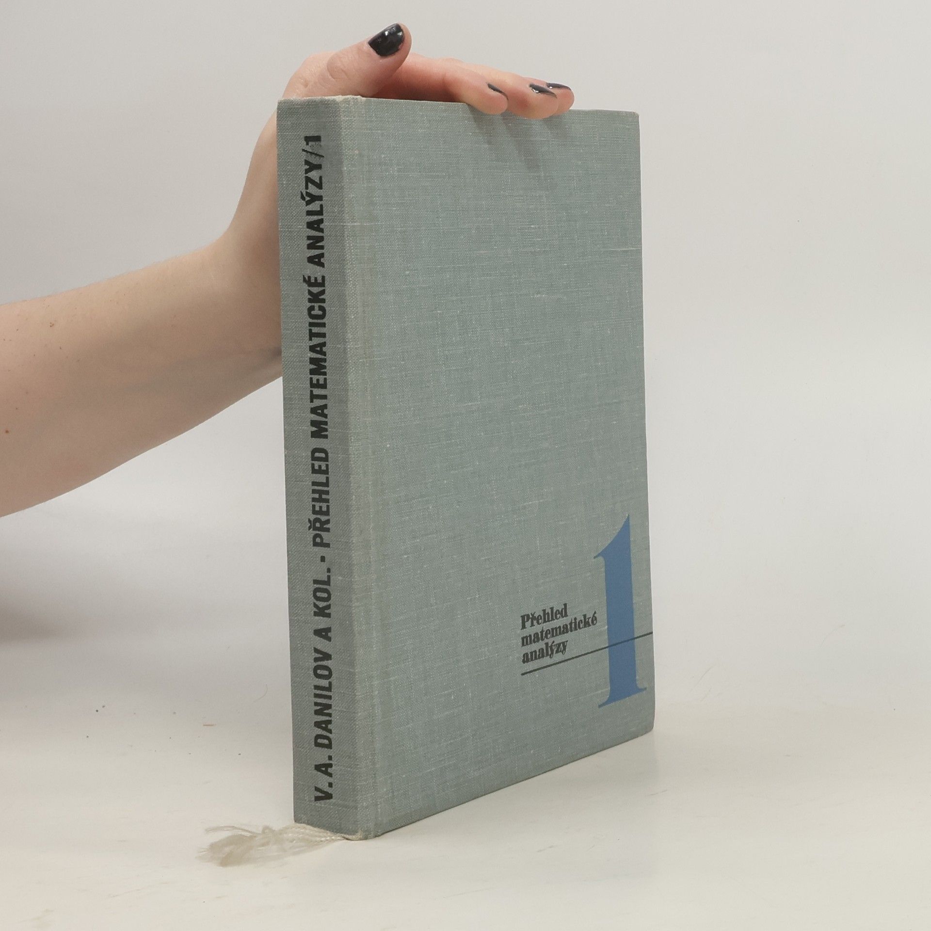V. A. Danilov Přehled matematické analýzy 1