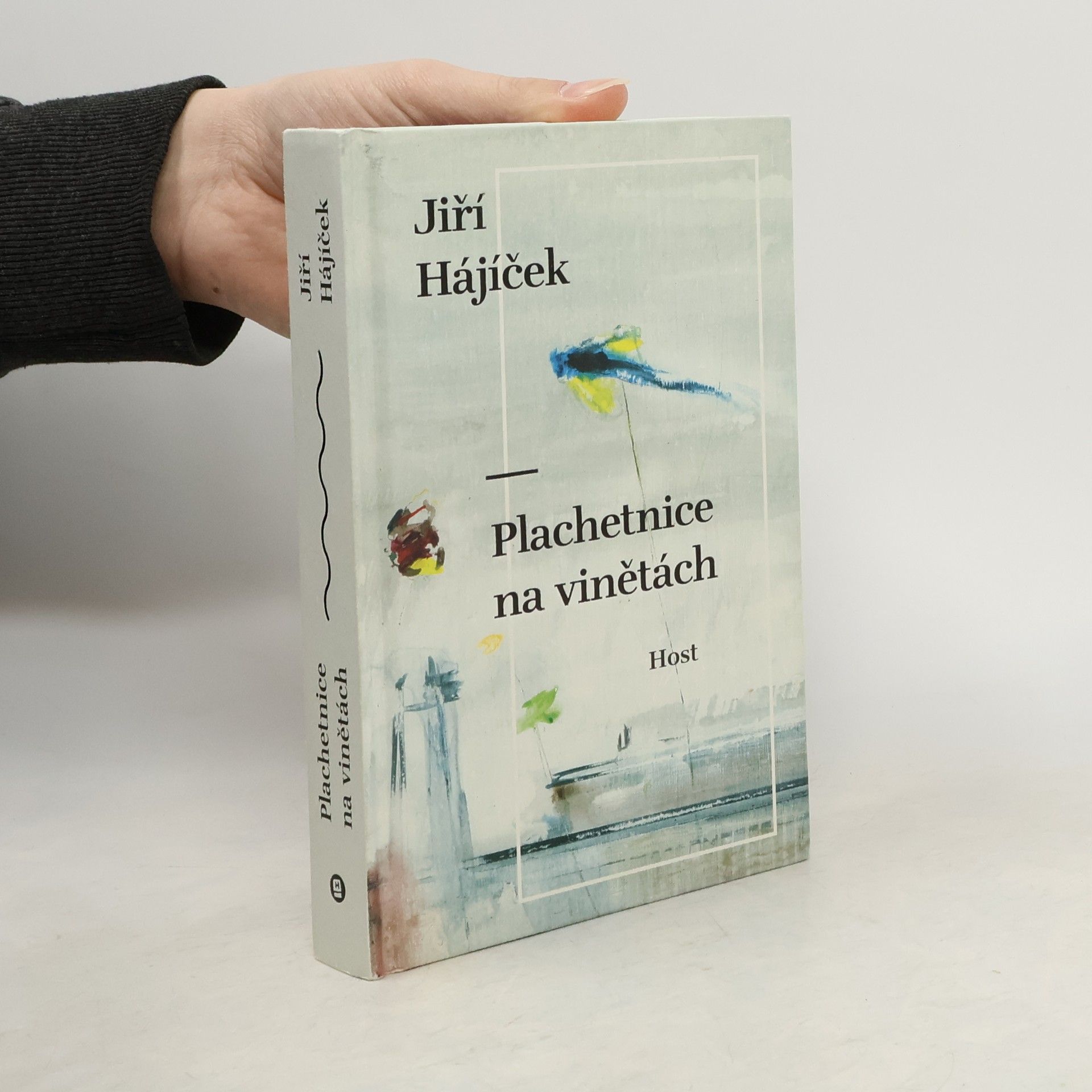 Jiří Hájíček Plachetnice na vinětách