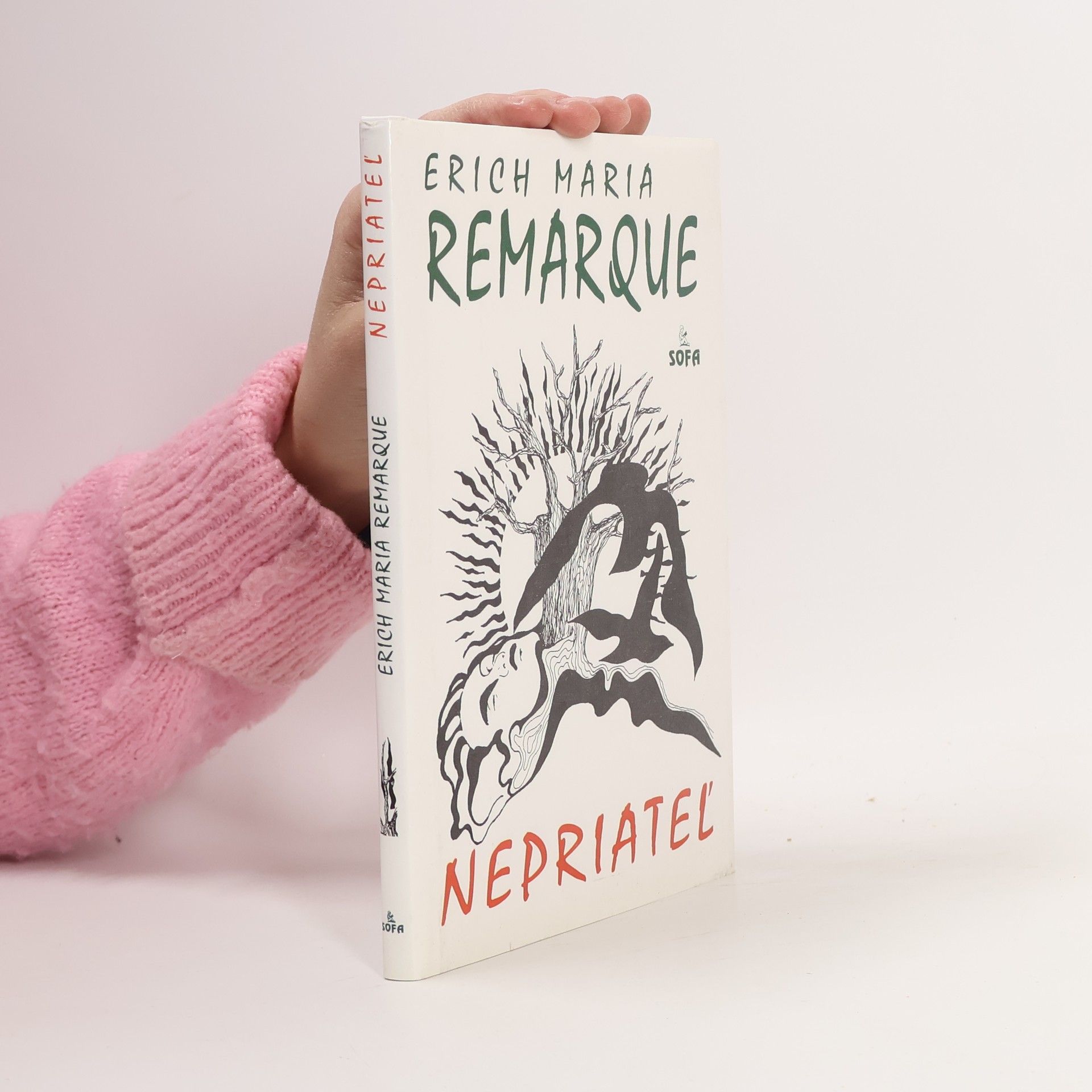 Erich Maria Remarque Nepriateľ