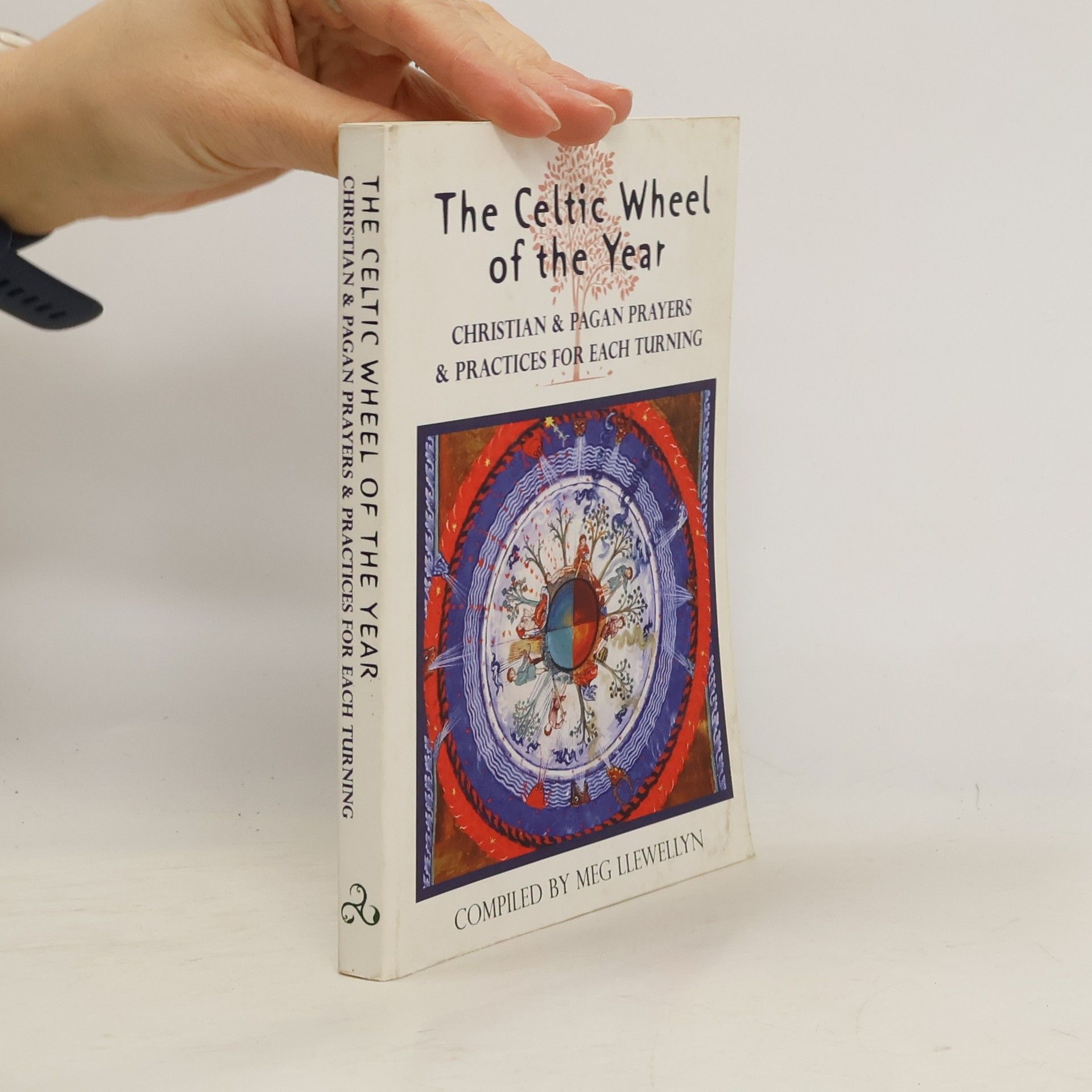 Meg Llewellyn The Celtic Wheel of the Year
