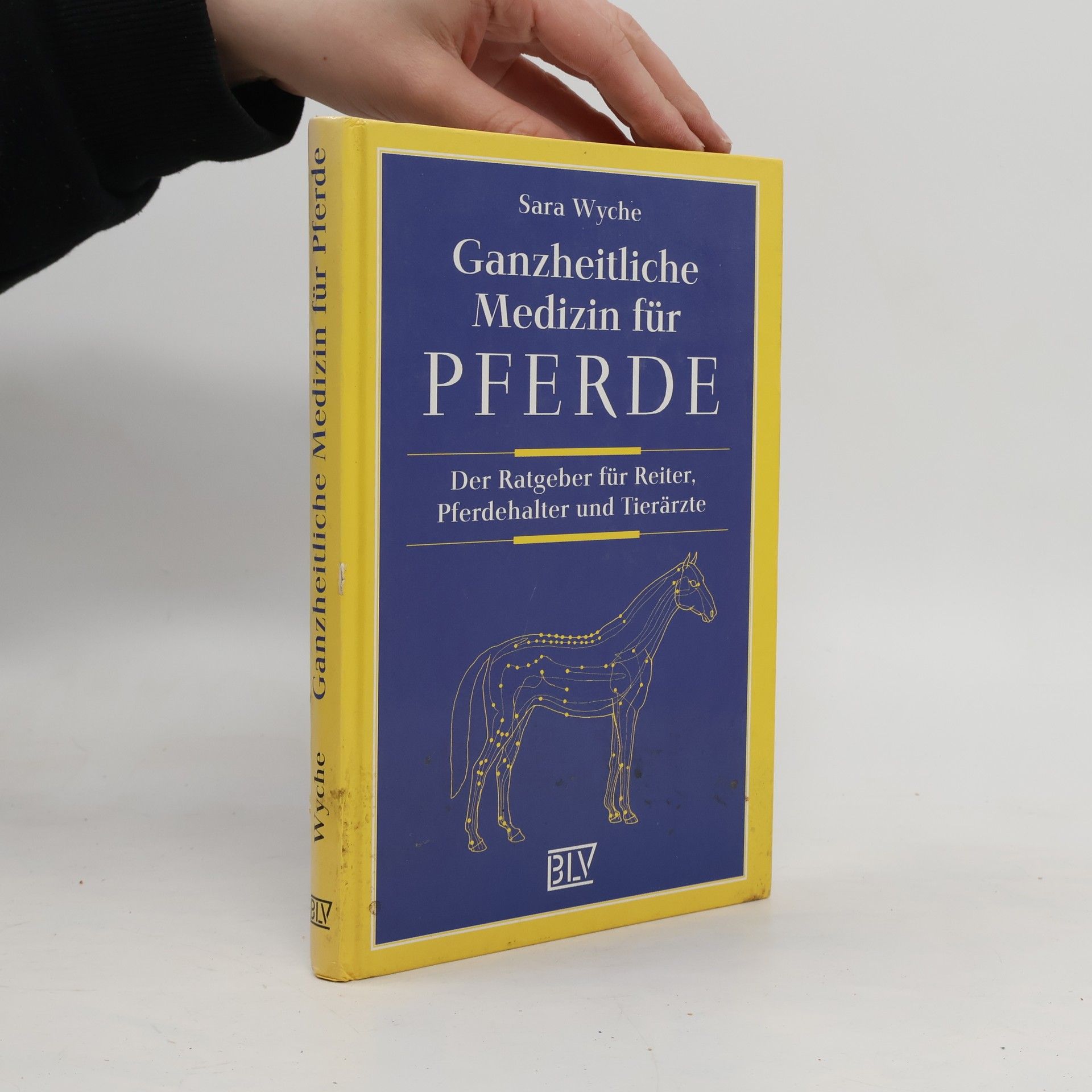 Sara Wyche Ganzheitliche Medizin für Pferde