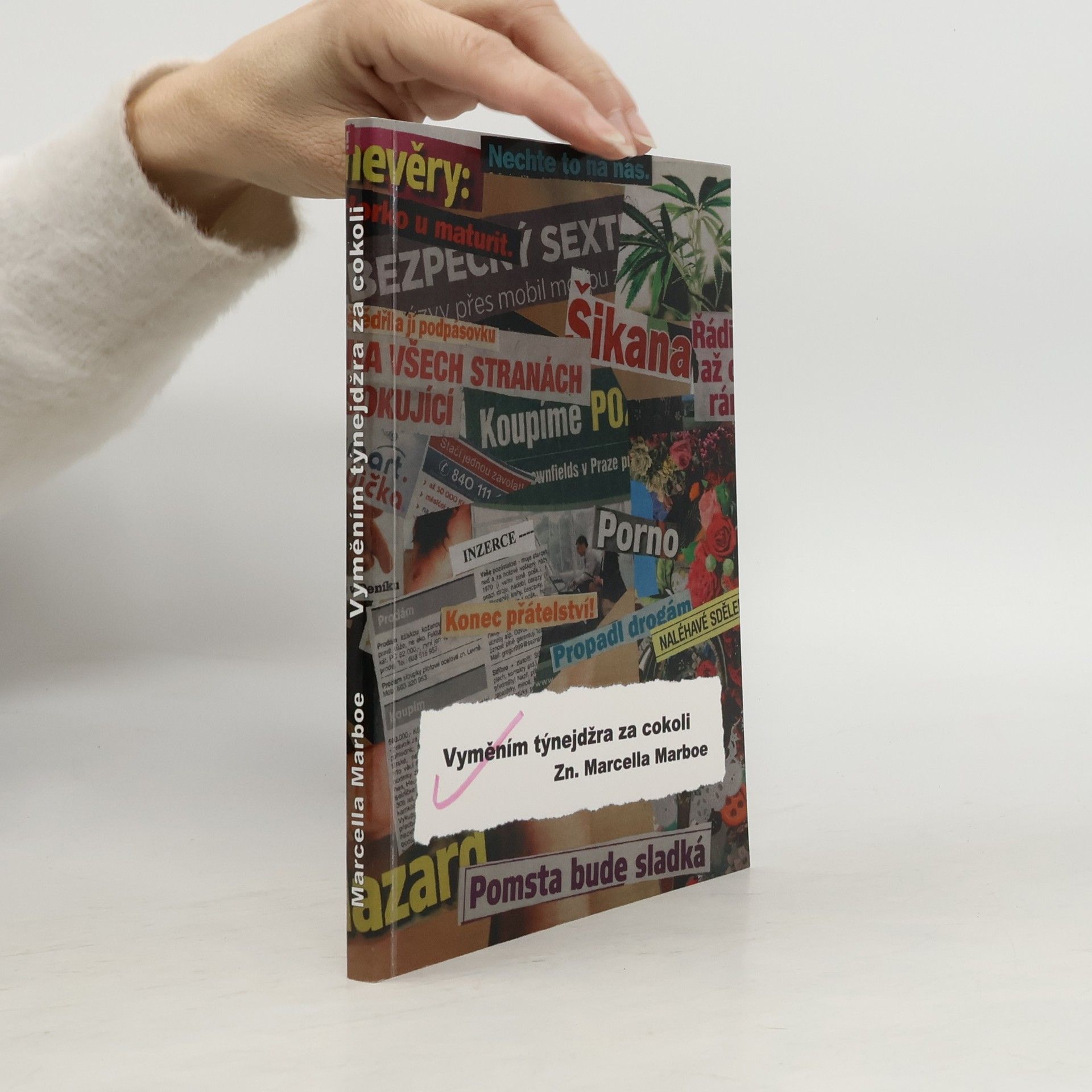 Vyměním týnejdžra za cokoli