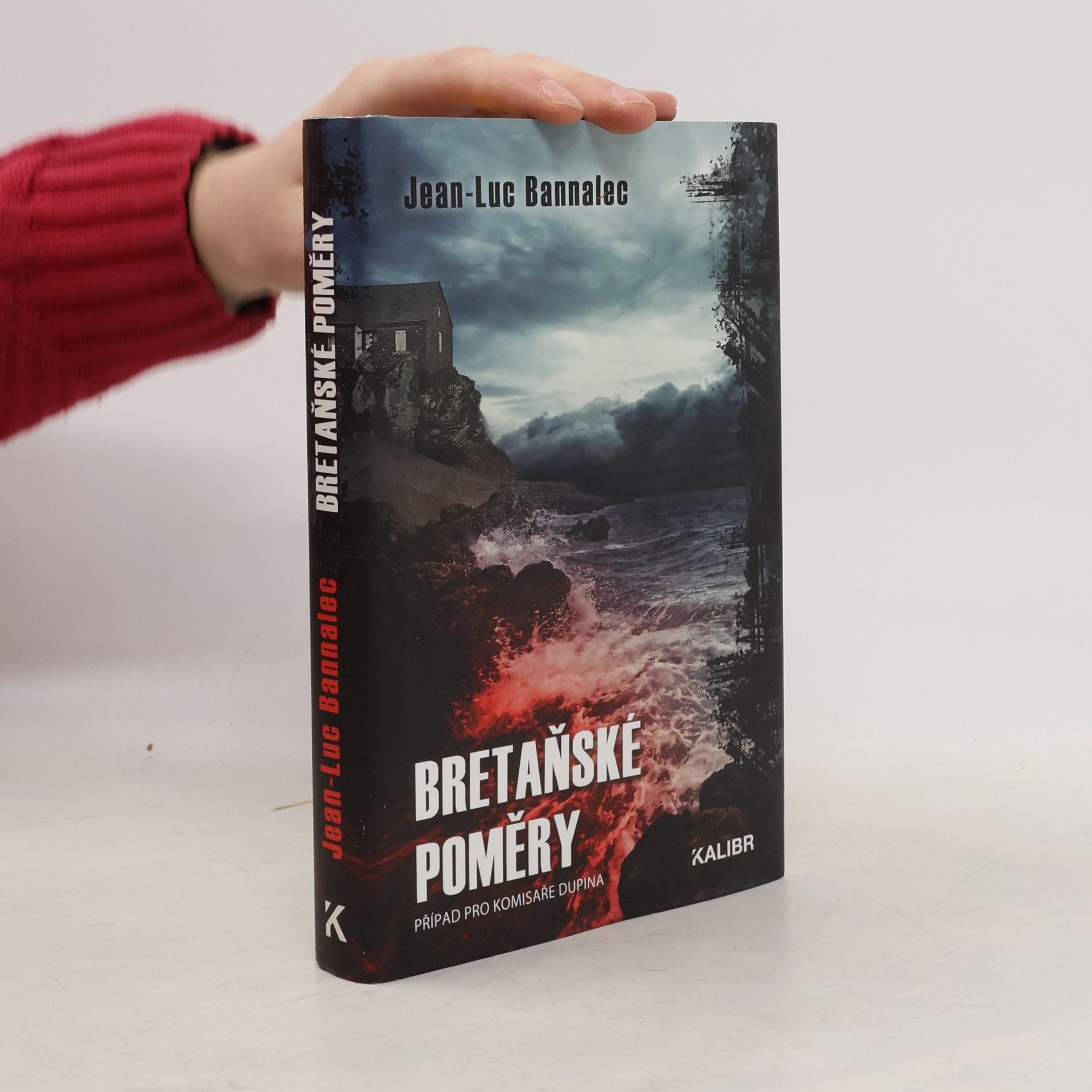 Jörg Bong Bretaňské poměry : případ pro komisaře Dupina